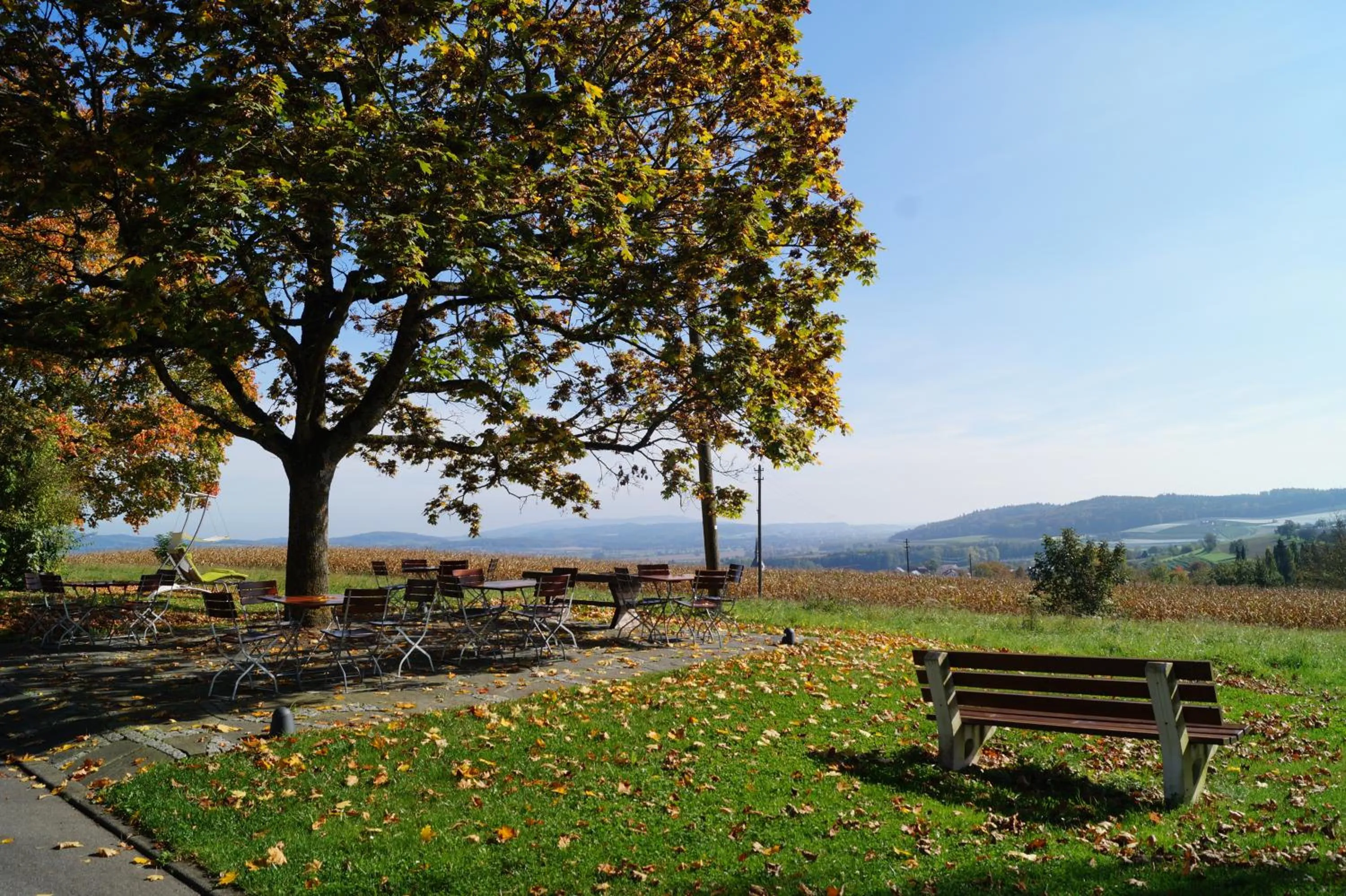 Natural landscape in Landhotel Schellenberg