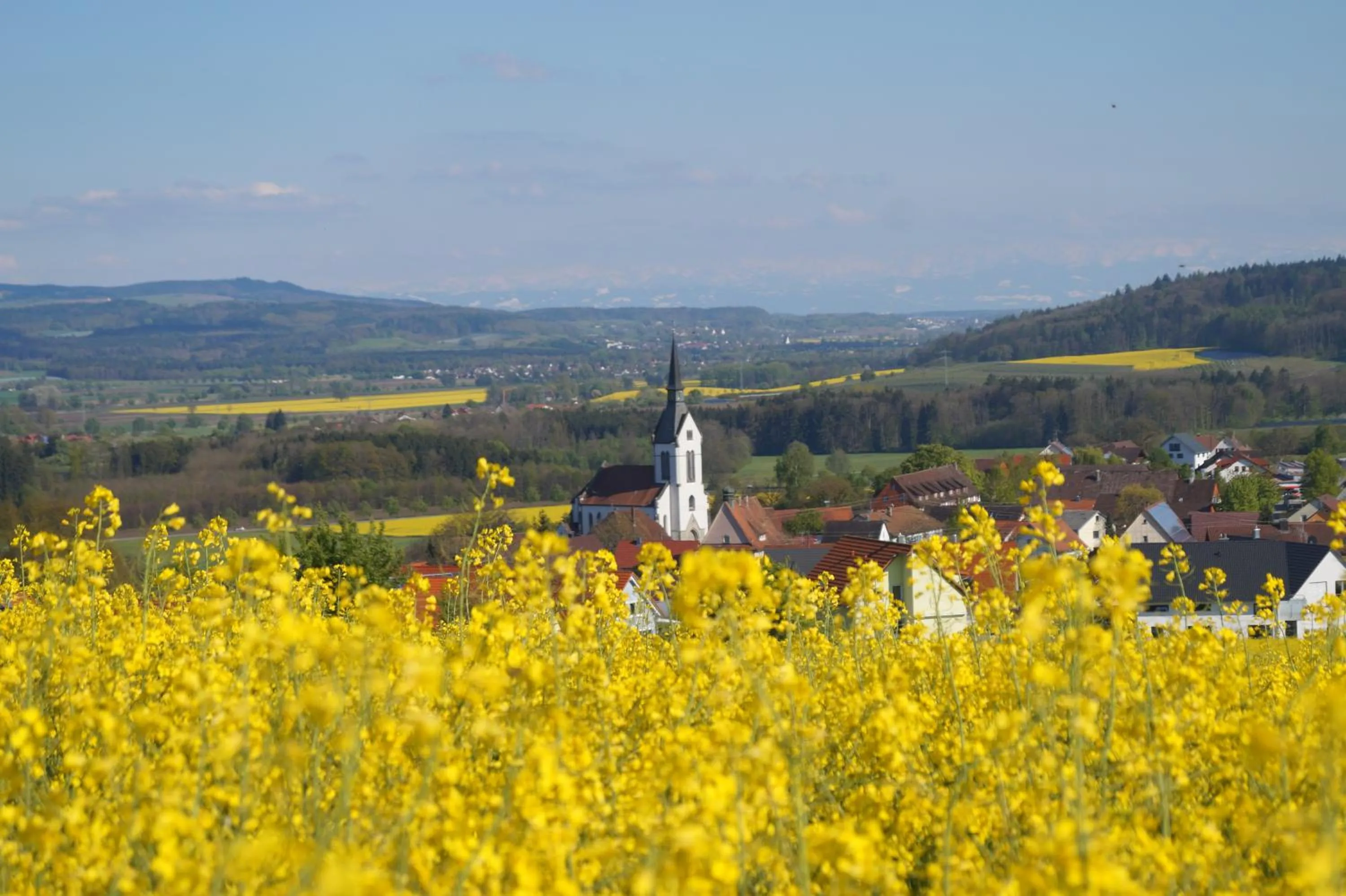 Natural landscape in Landhotel Schellenberg