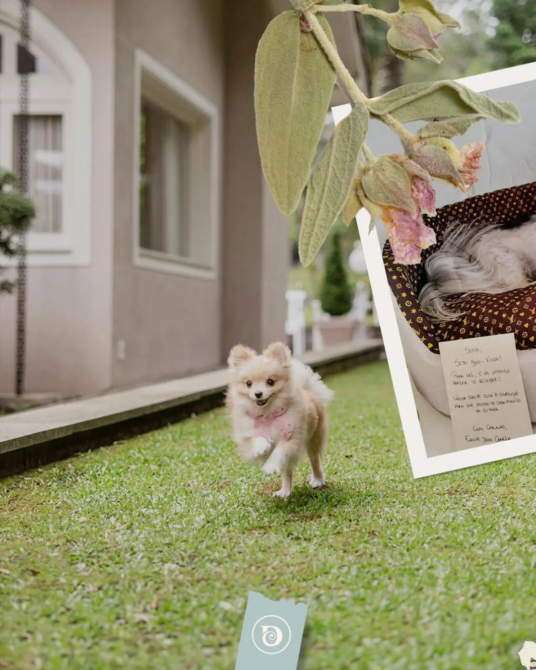 Doce Canela - Pousada de Charme