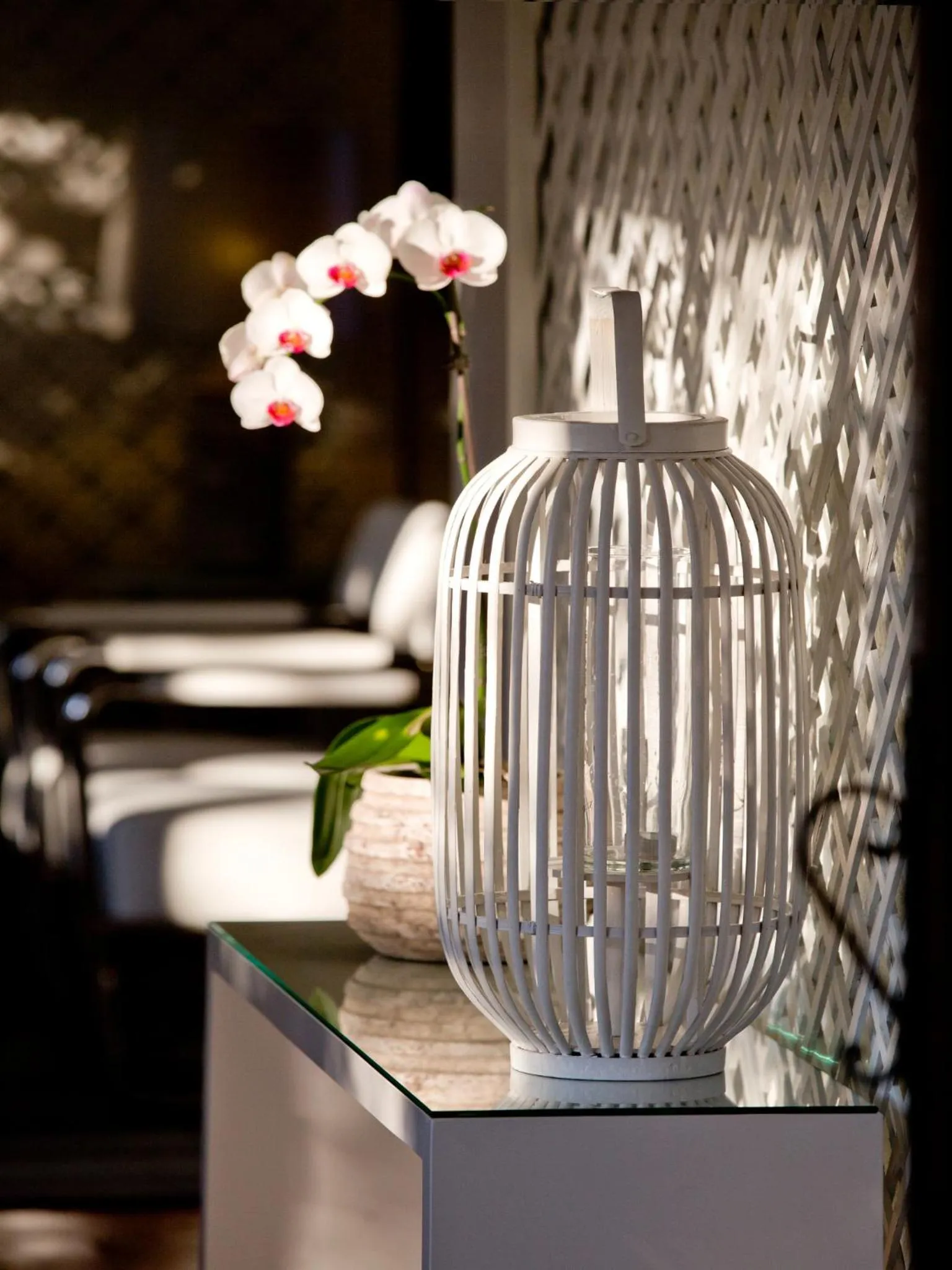 Lounge or bar in SL Hotel Santa Luzia – Elvas