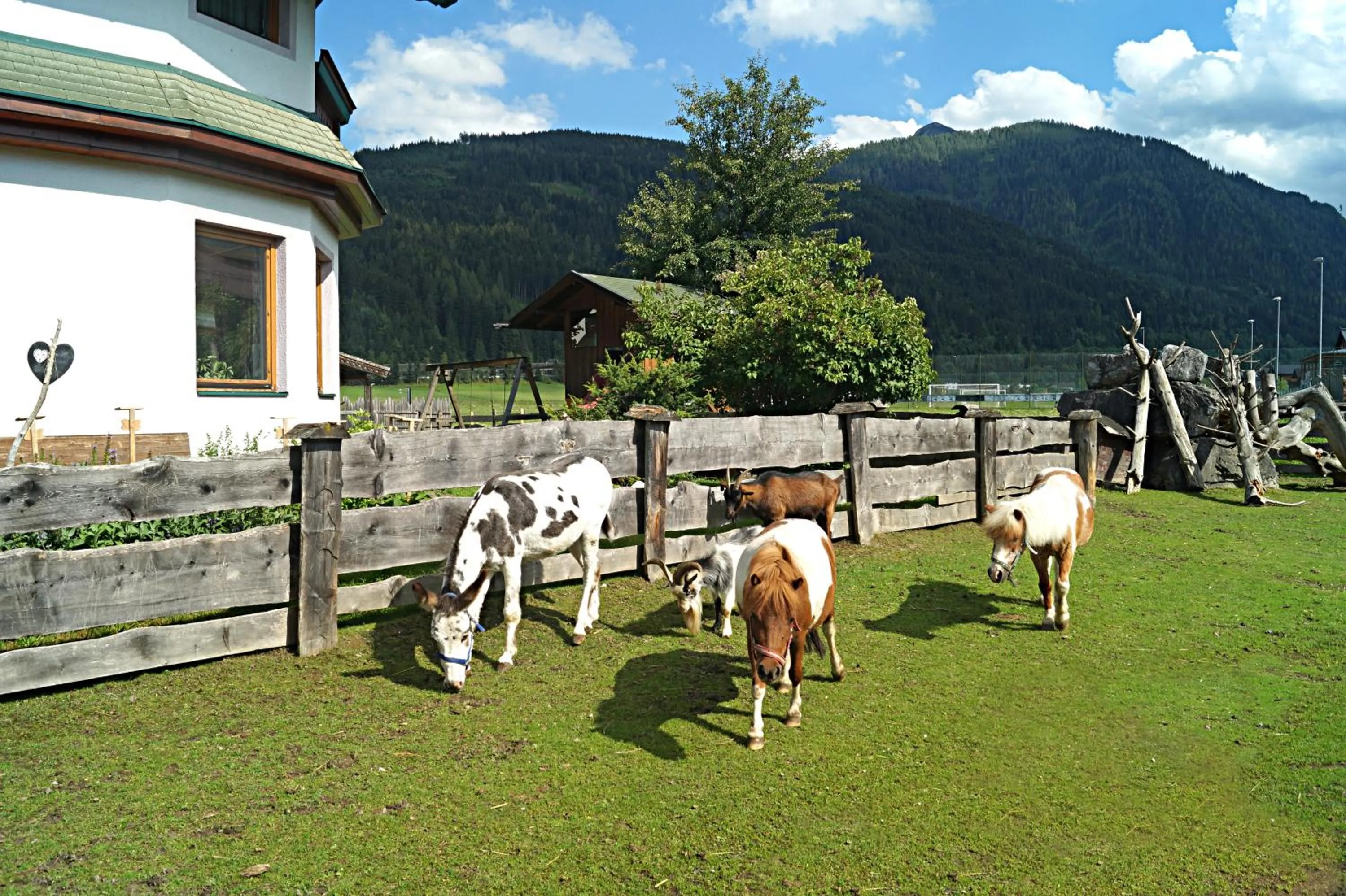 Animals in Sieglhub Chalets - Appartements - Hotel