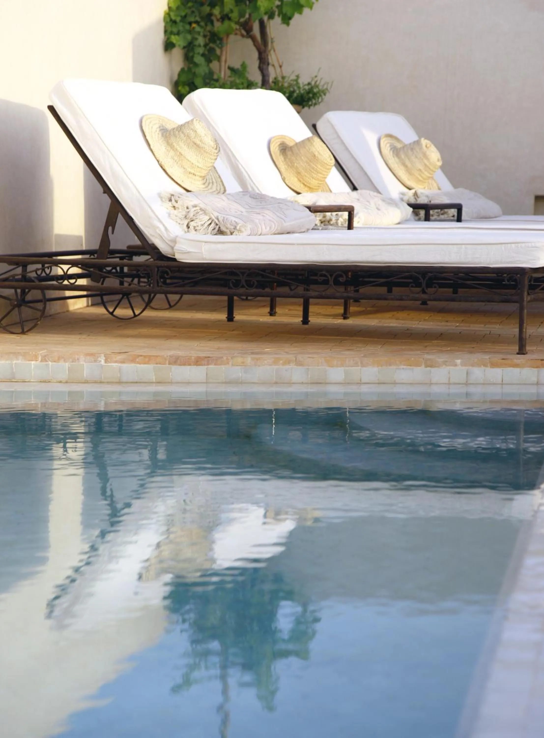 Swimming pool in Riad Abracadabra