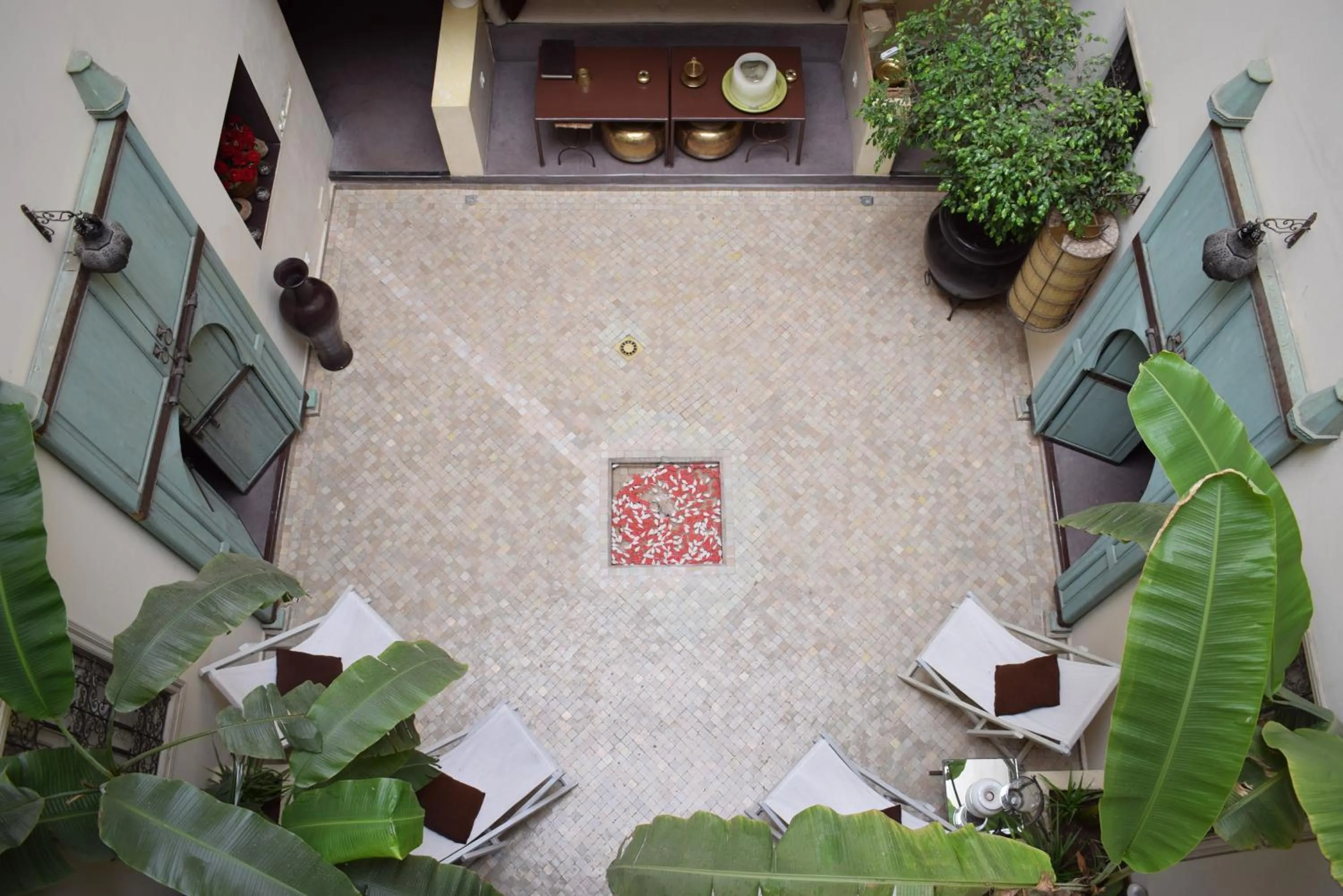 Garden view in Riad Abracadabra