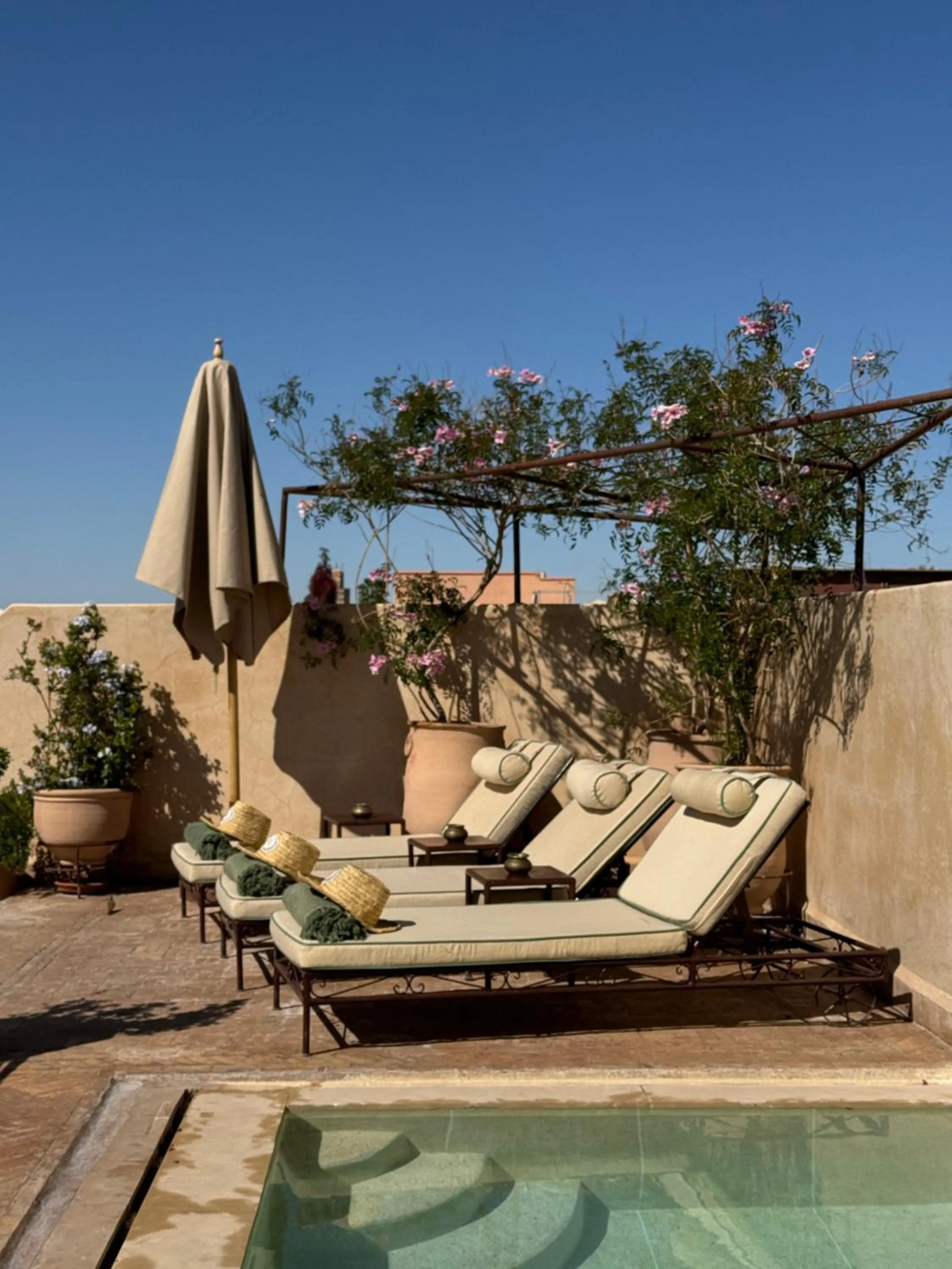 Swimming pool in Riad Abracadabra