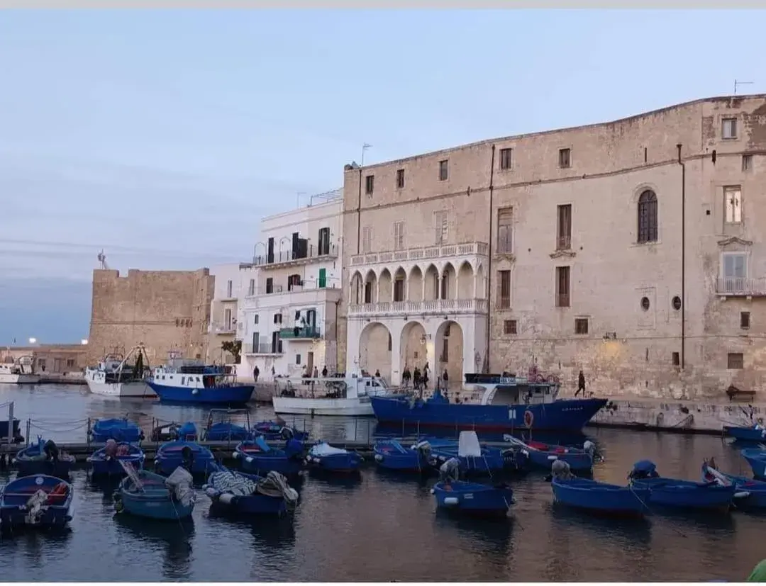 Double Room in Diamantea Double Room in Diamantea