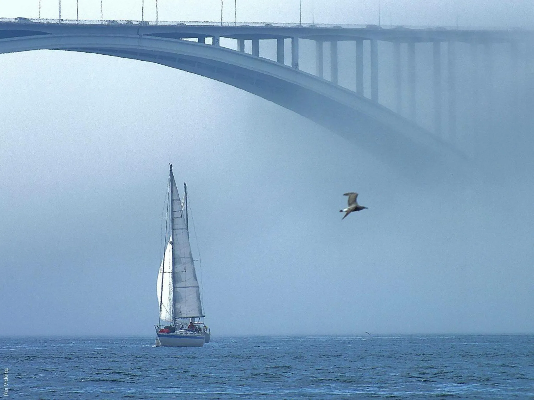 Area and facilities in Hotel da Bolsa