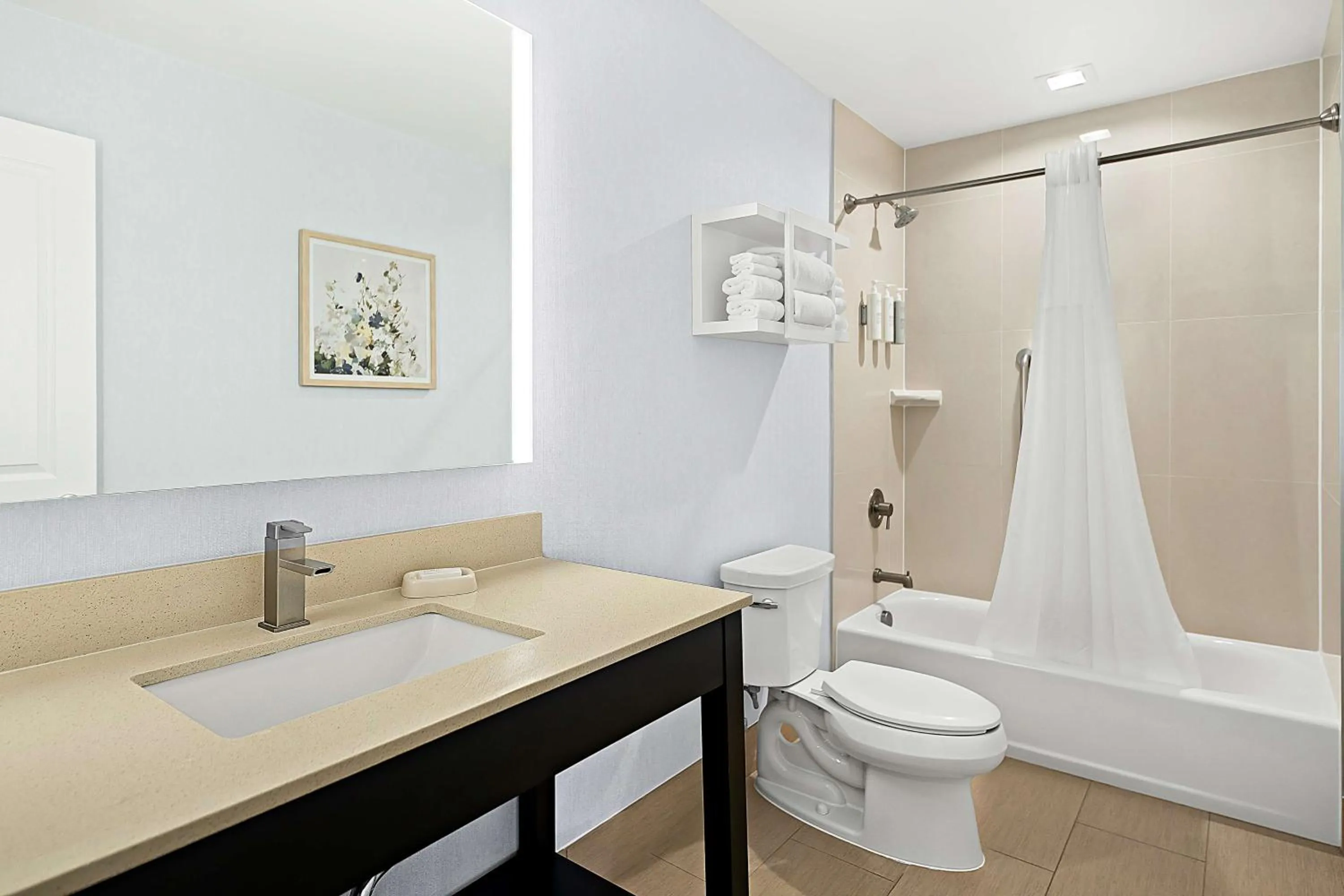 Bathroom in Hampton Inn Morgan Hill