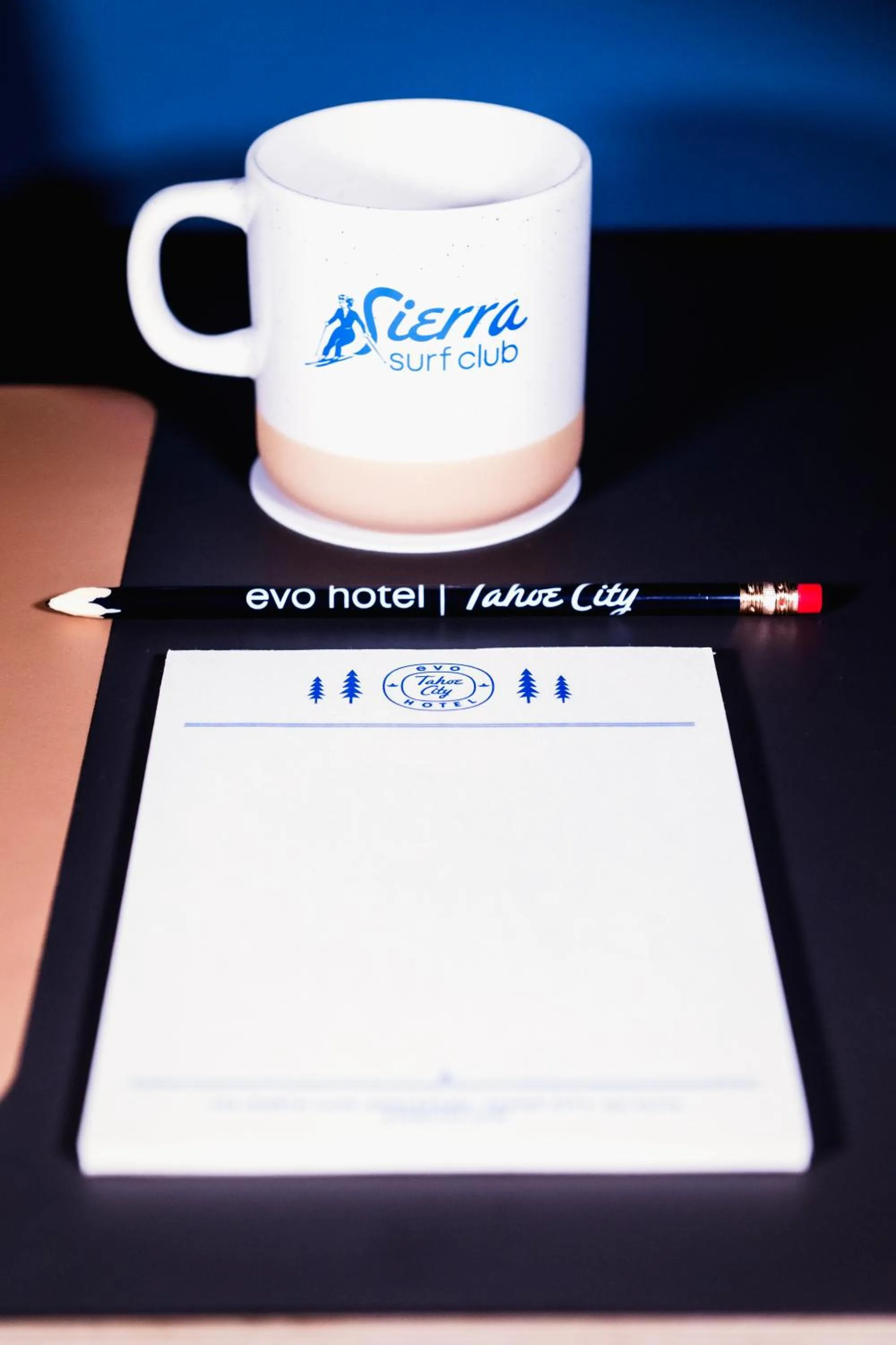 Decorative detail in evo Hotel Tahoe City