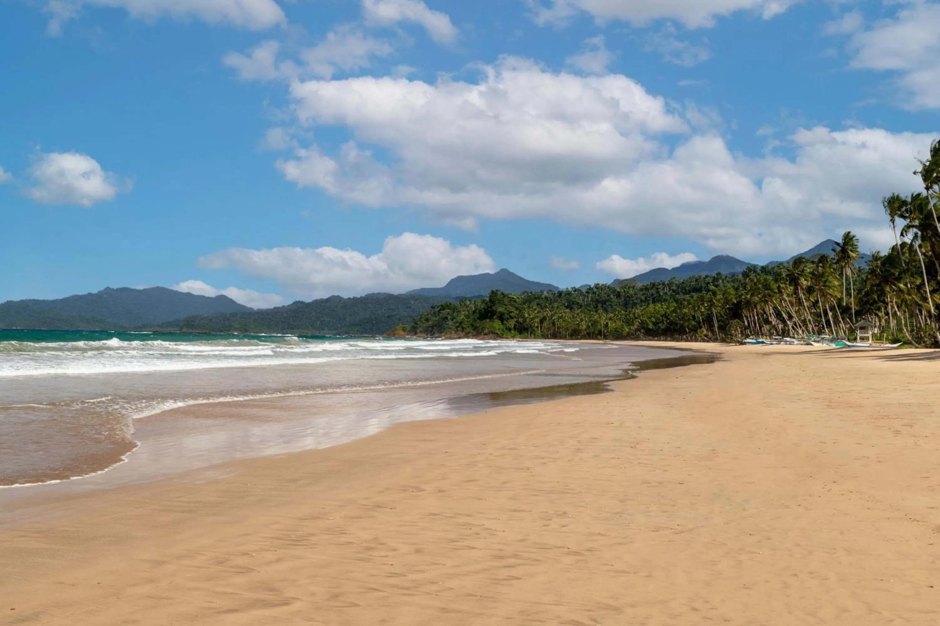 Beach in Four Points by Sheraton Palawan Puerto Princesa