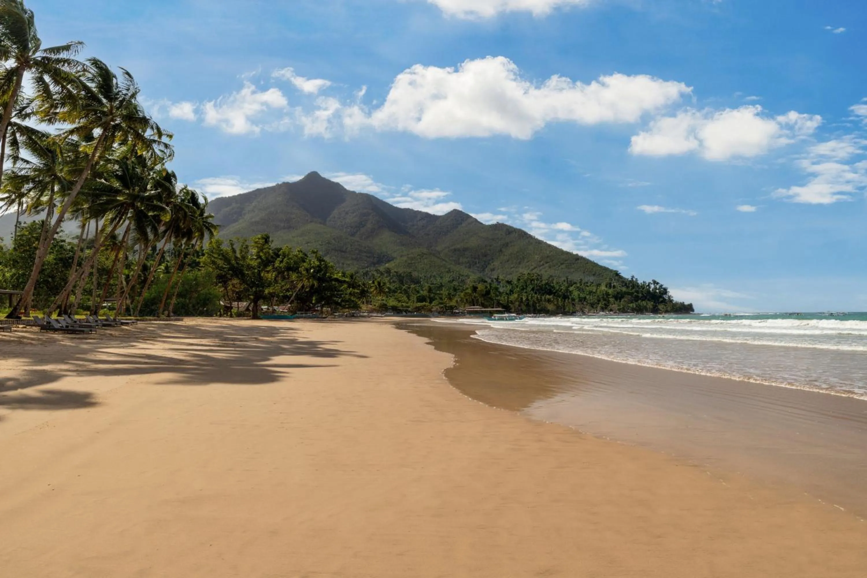 Beach in Four Points by Sheraton Palawan Puerto Princesa