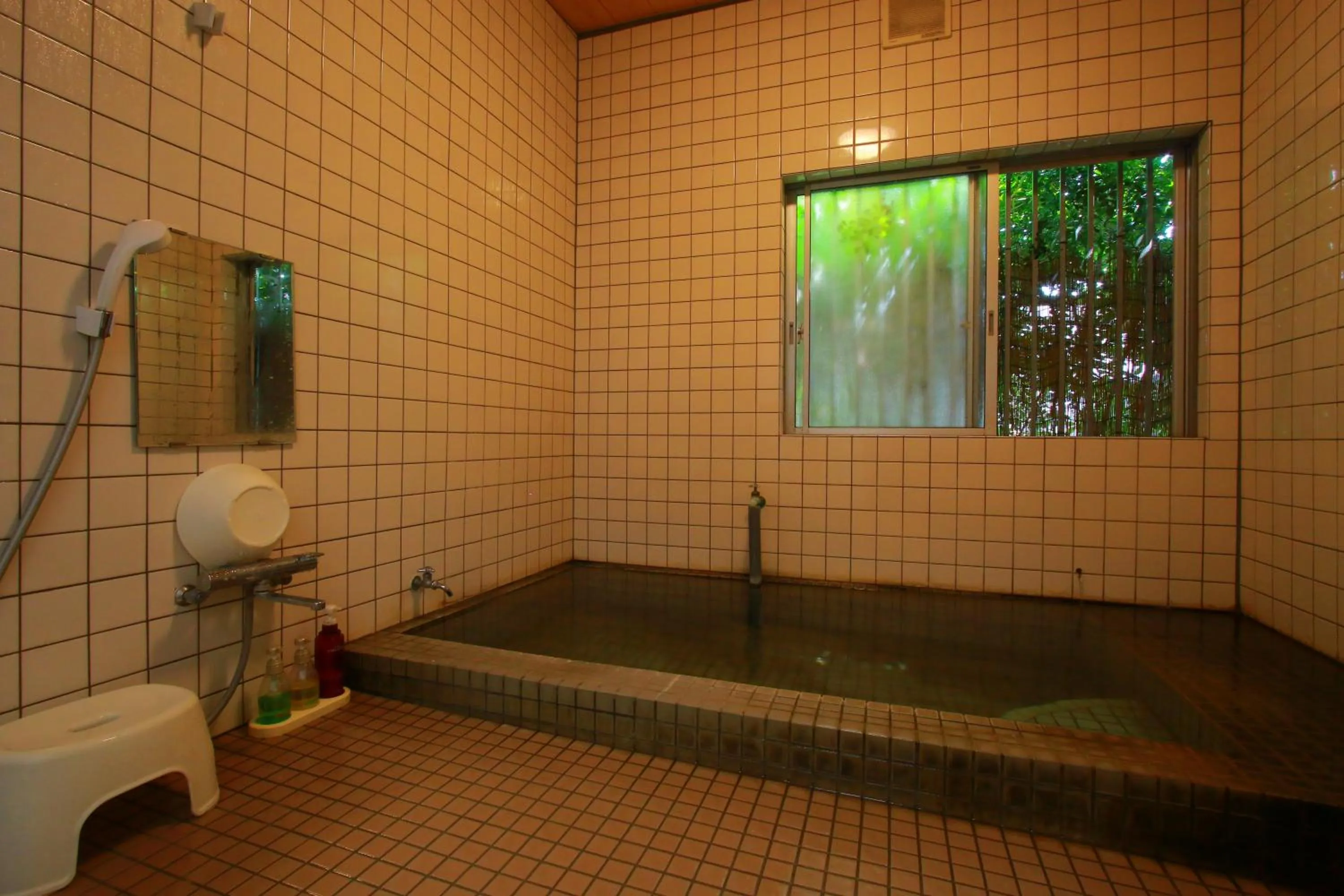 Hot Spring Bath in Family Ryokan Kawakyu with Showa Retro, private hot spring