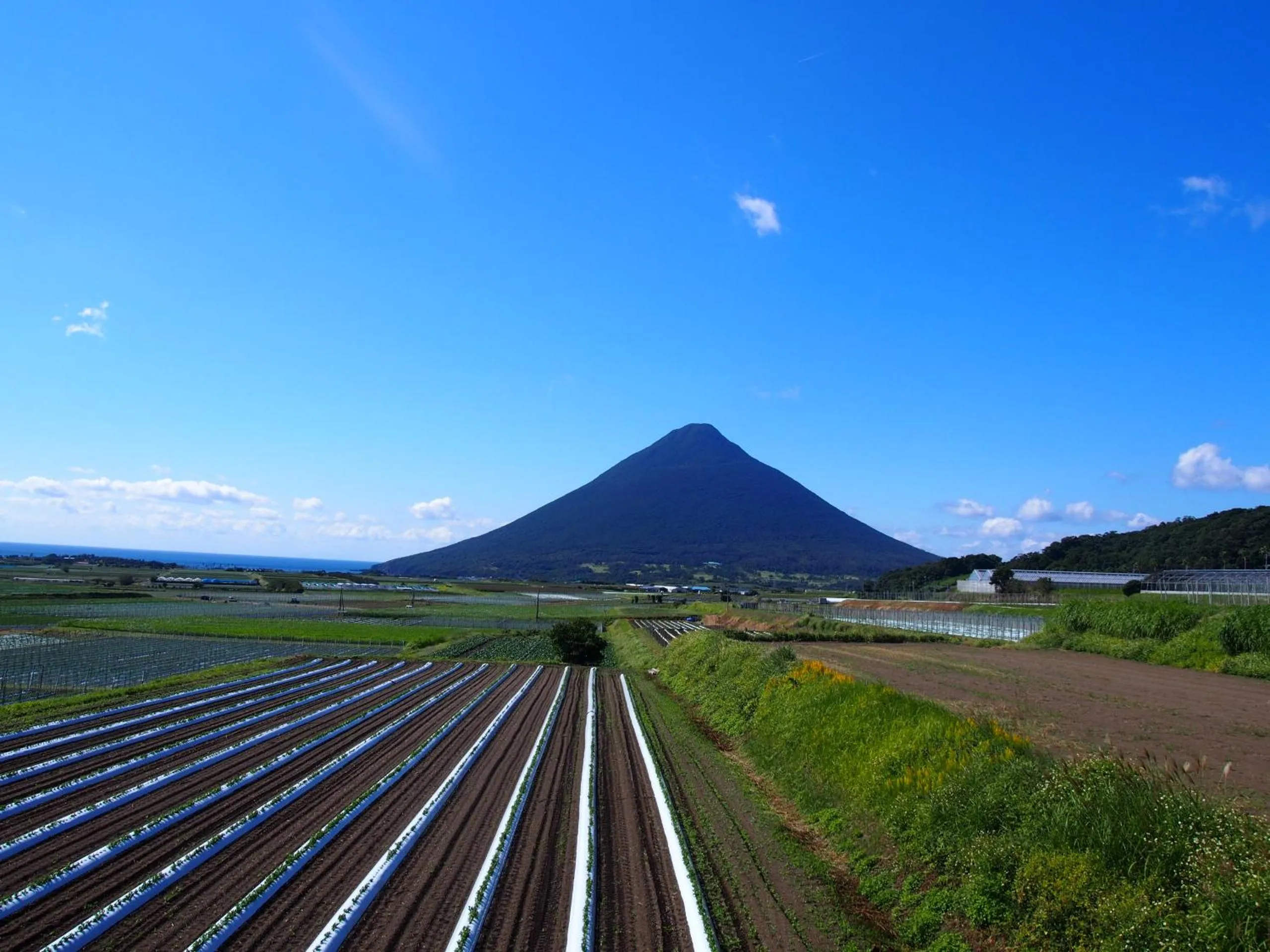 Nearby landmark in Family Ryokan Kawakyu with Showa Retro, private hot spring