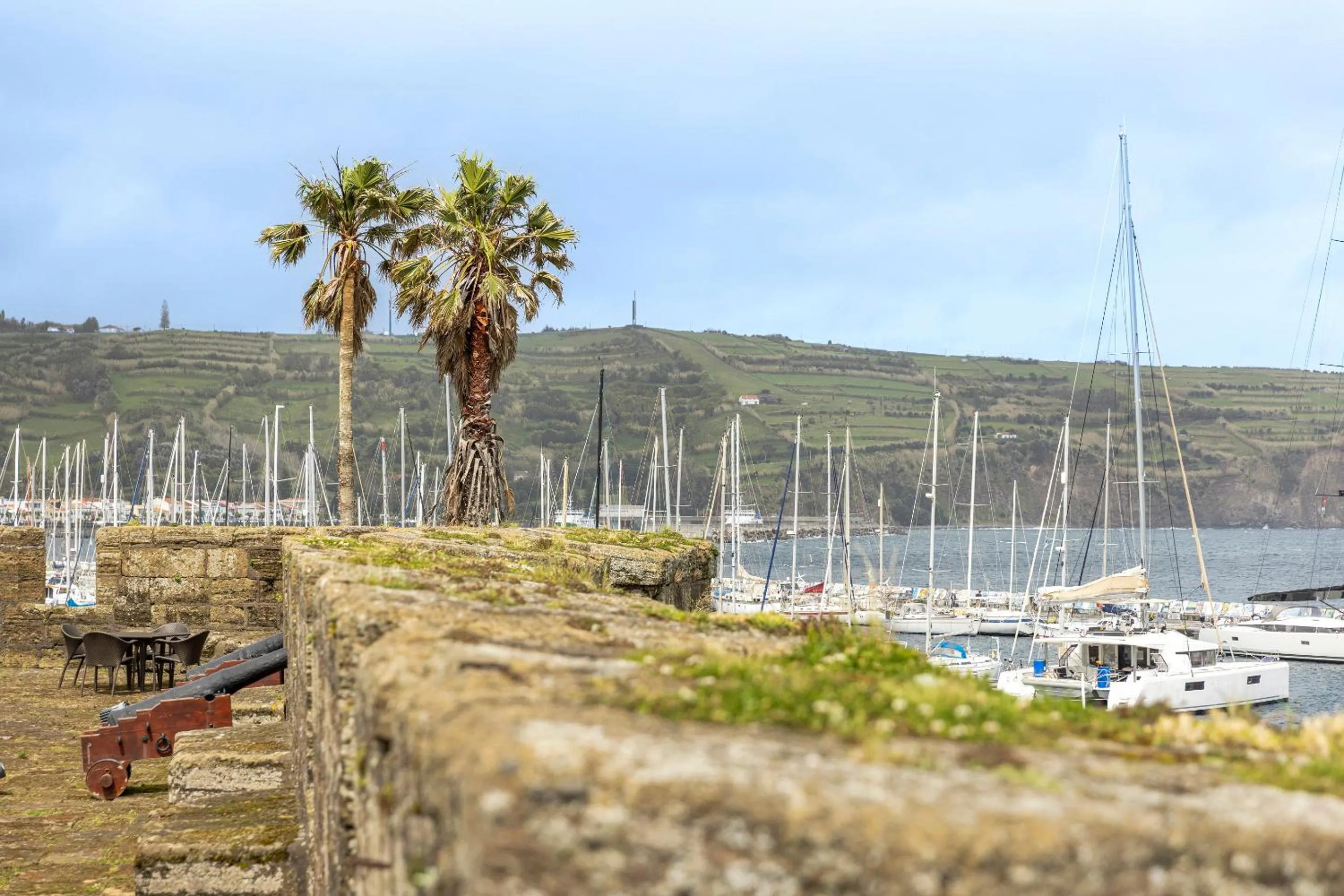 View (from property/room) in Pousada Forte da Horta