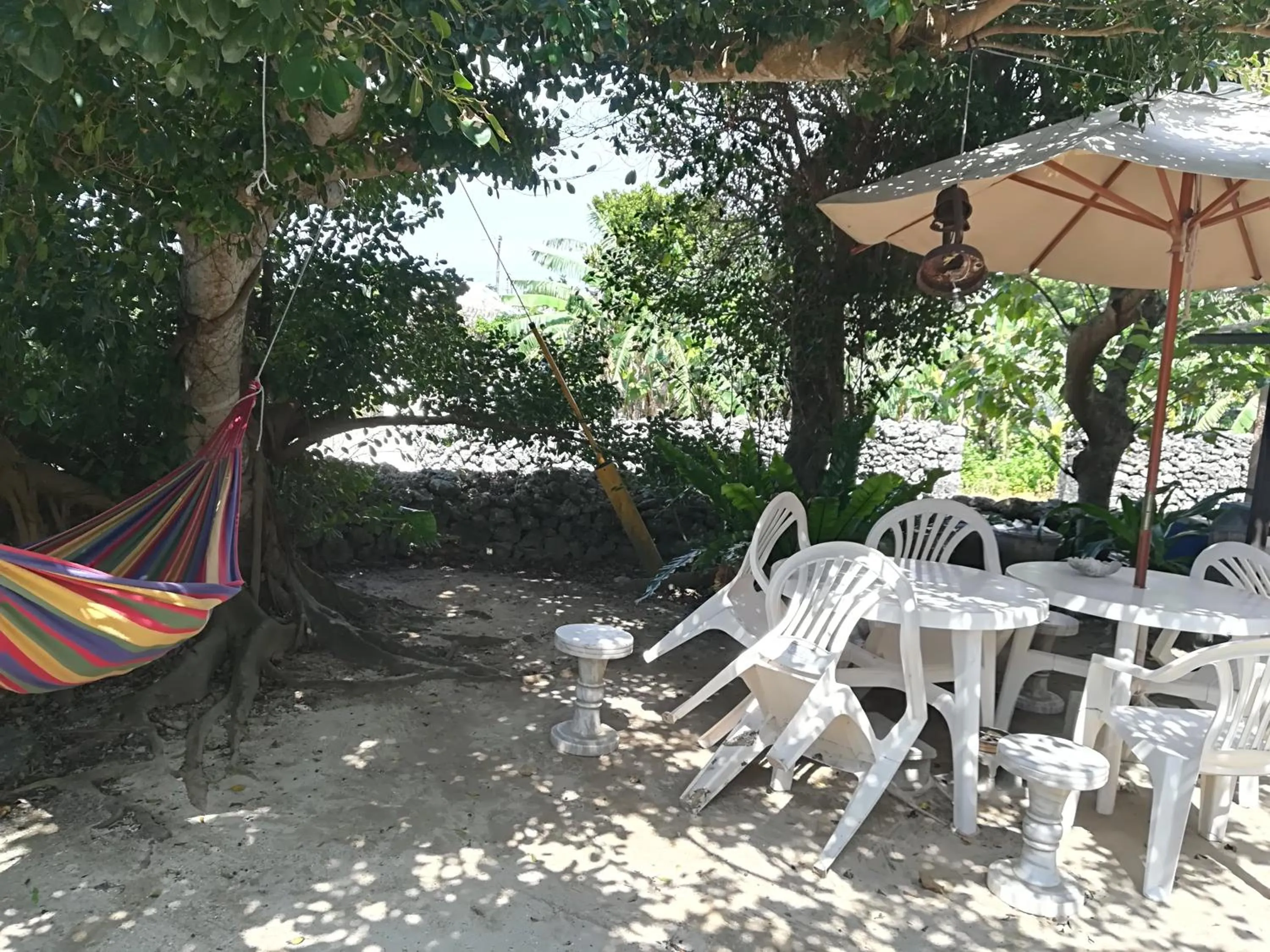 Garden in Taketomijima Guesthouse and je Taime