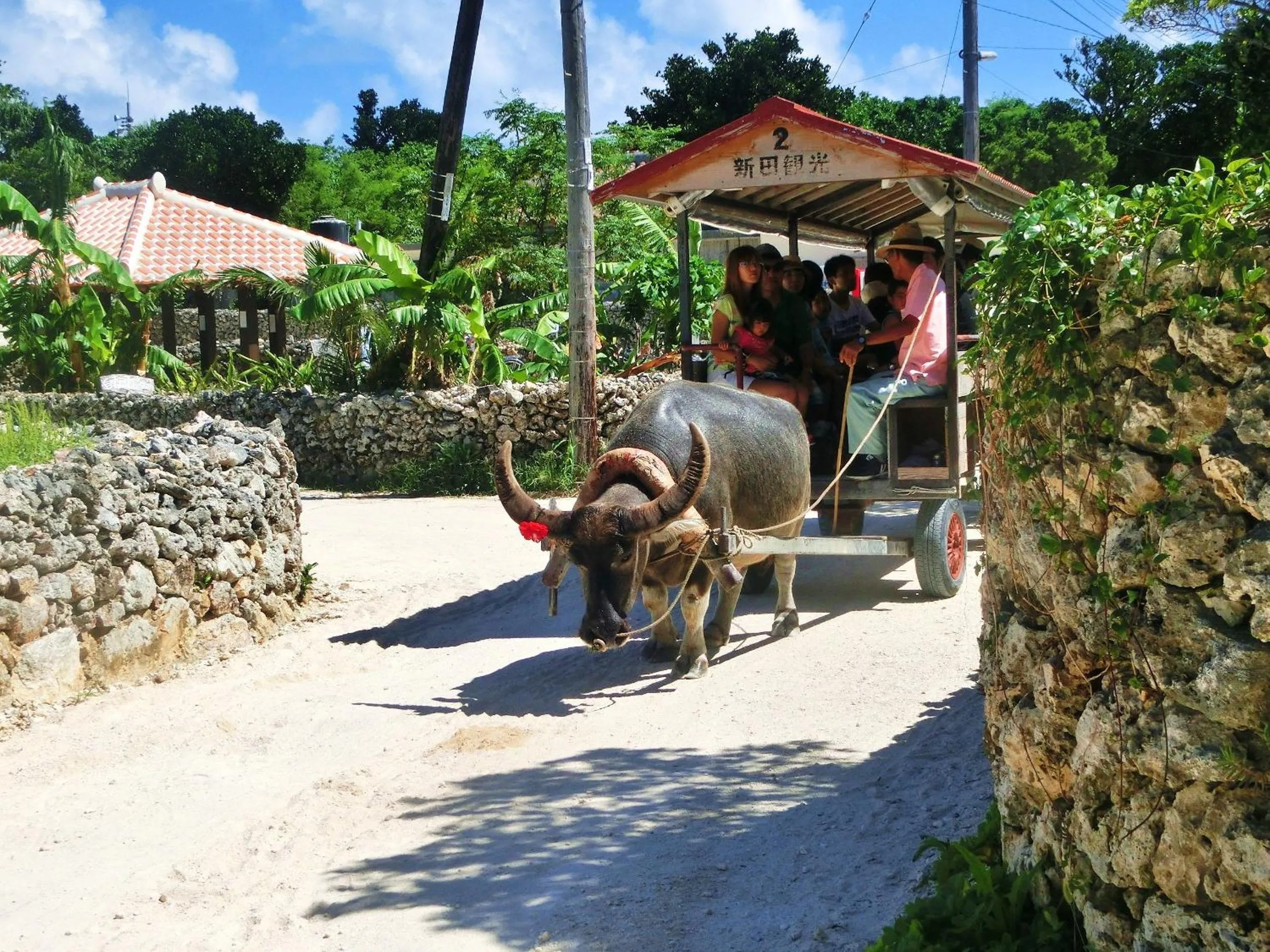 Property building in Taketomijima Guesthouse and je Taime