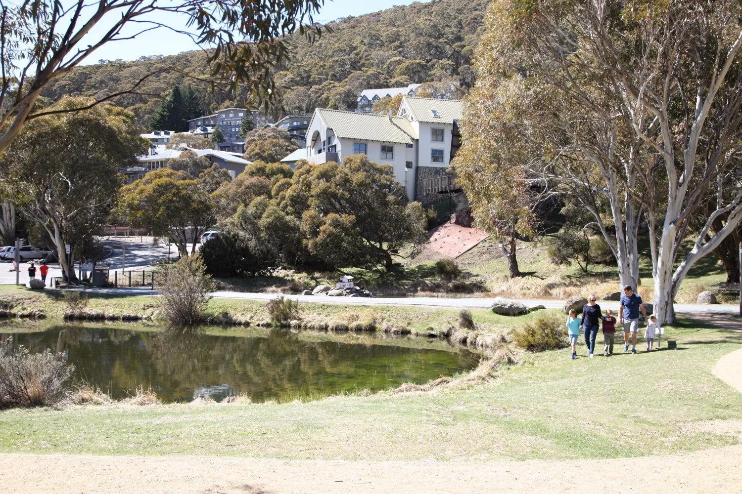 Natural landscape in Boali Lodge Thredbo