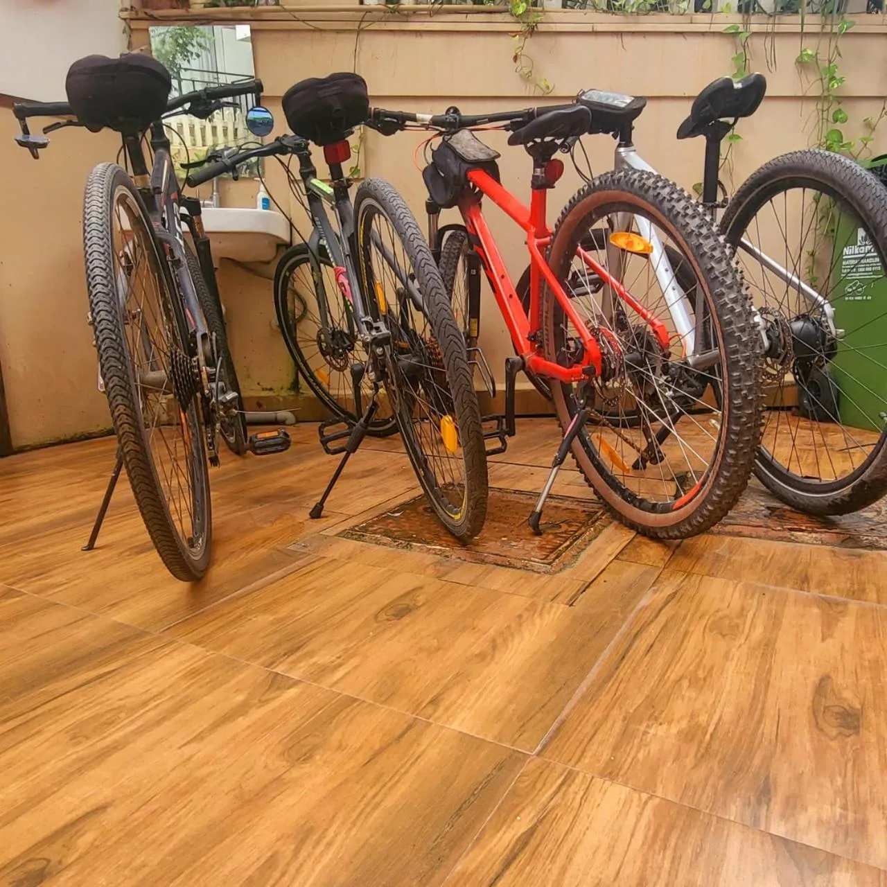 Activities in Rankk Stays