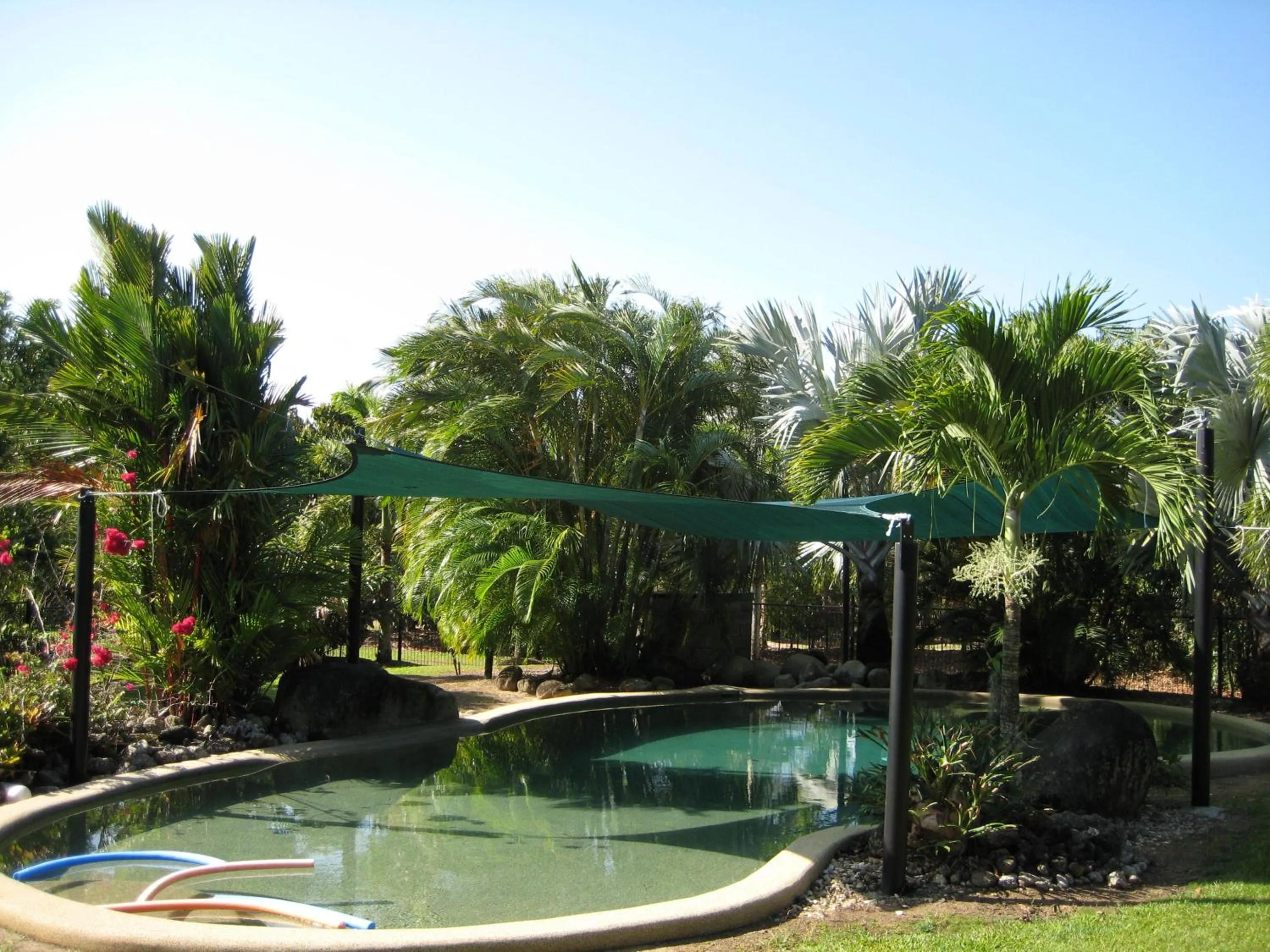Swimming pool in Daintree Wild Bed & Breakfast