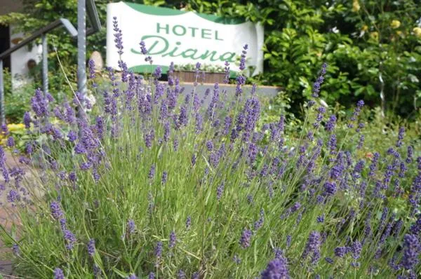 Property logo or sign in Hotel Diana Garni