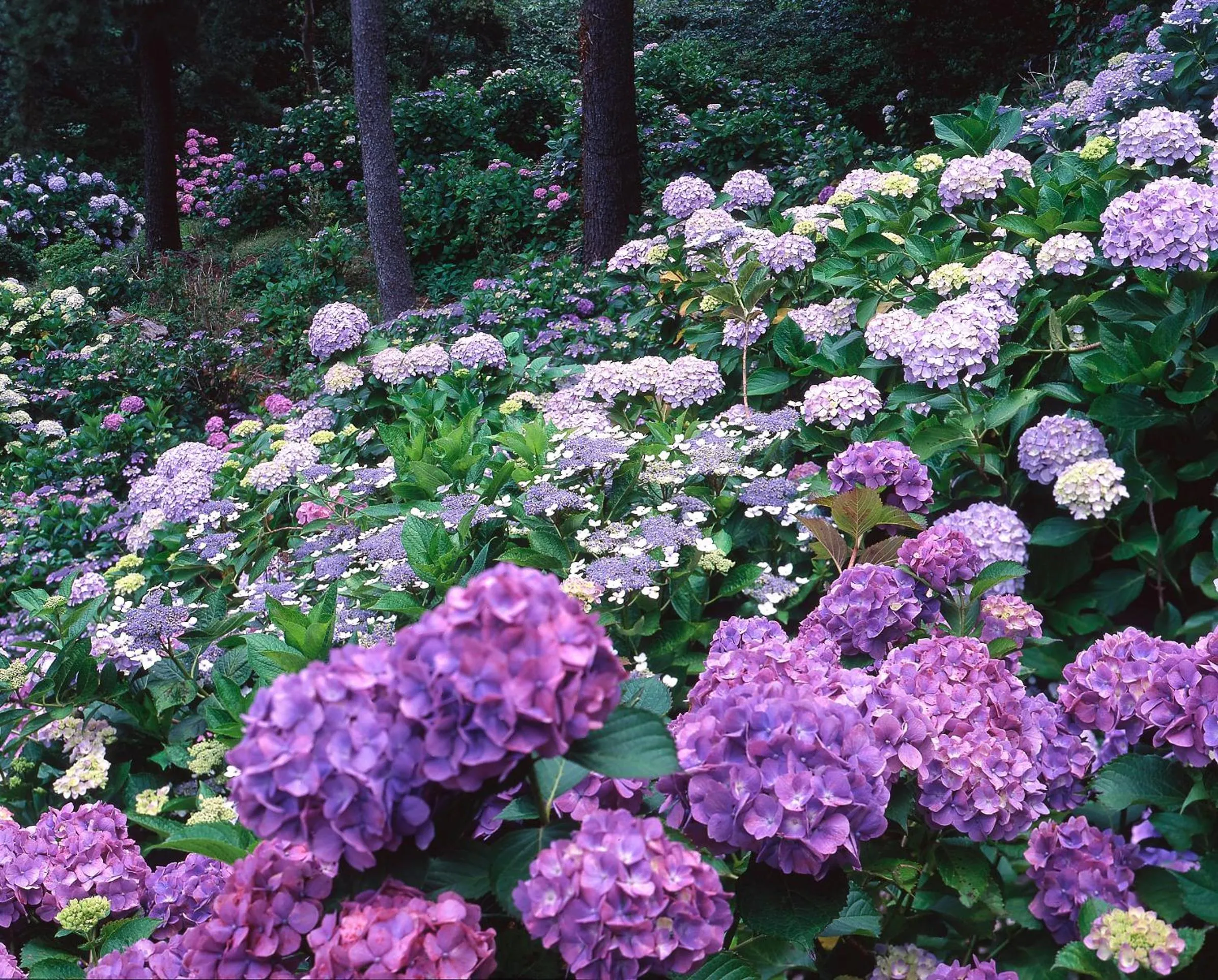 Other in Hotel Yamadaya