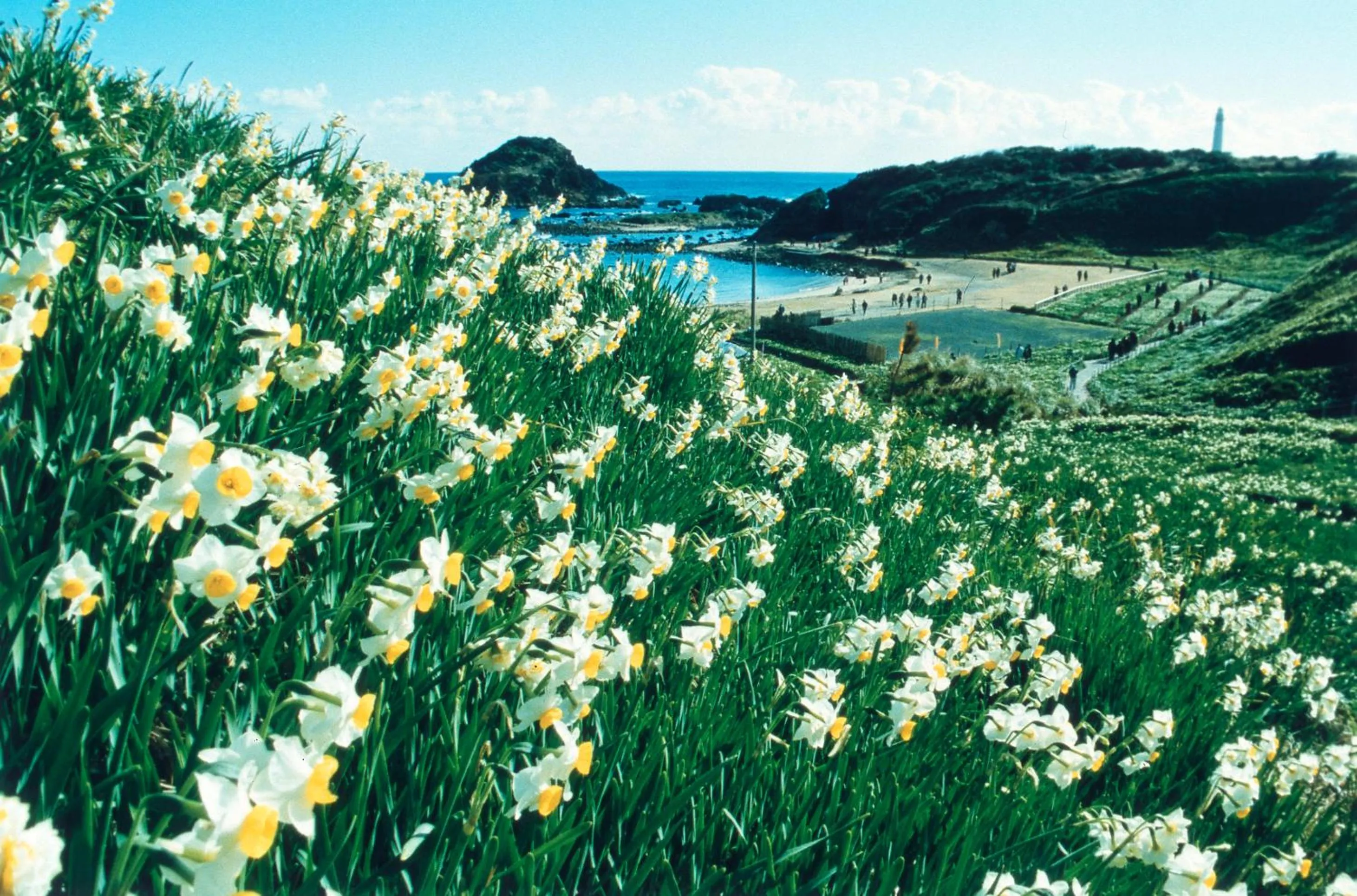 Winter in Hotel Yamadaya