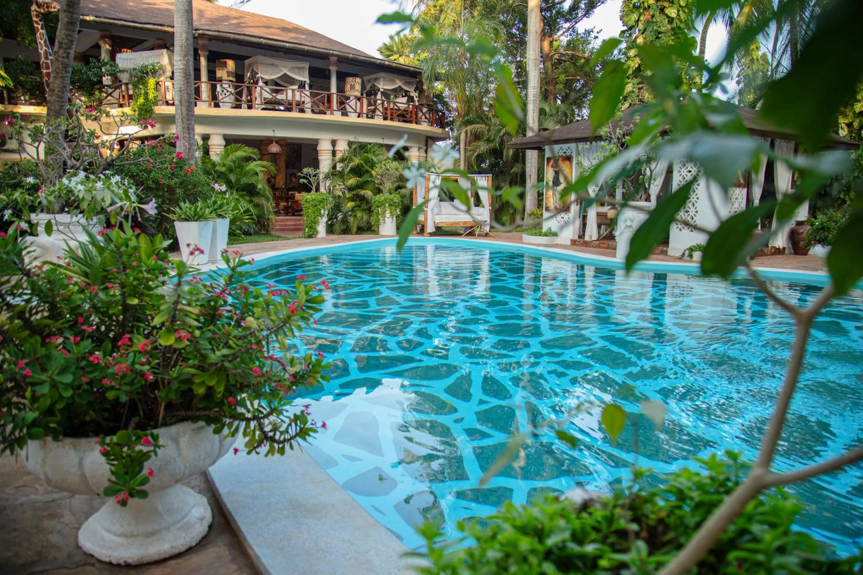 Swimming pool in African House Resort