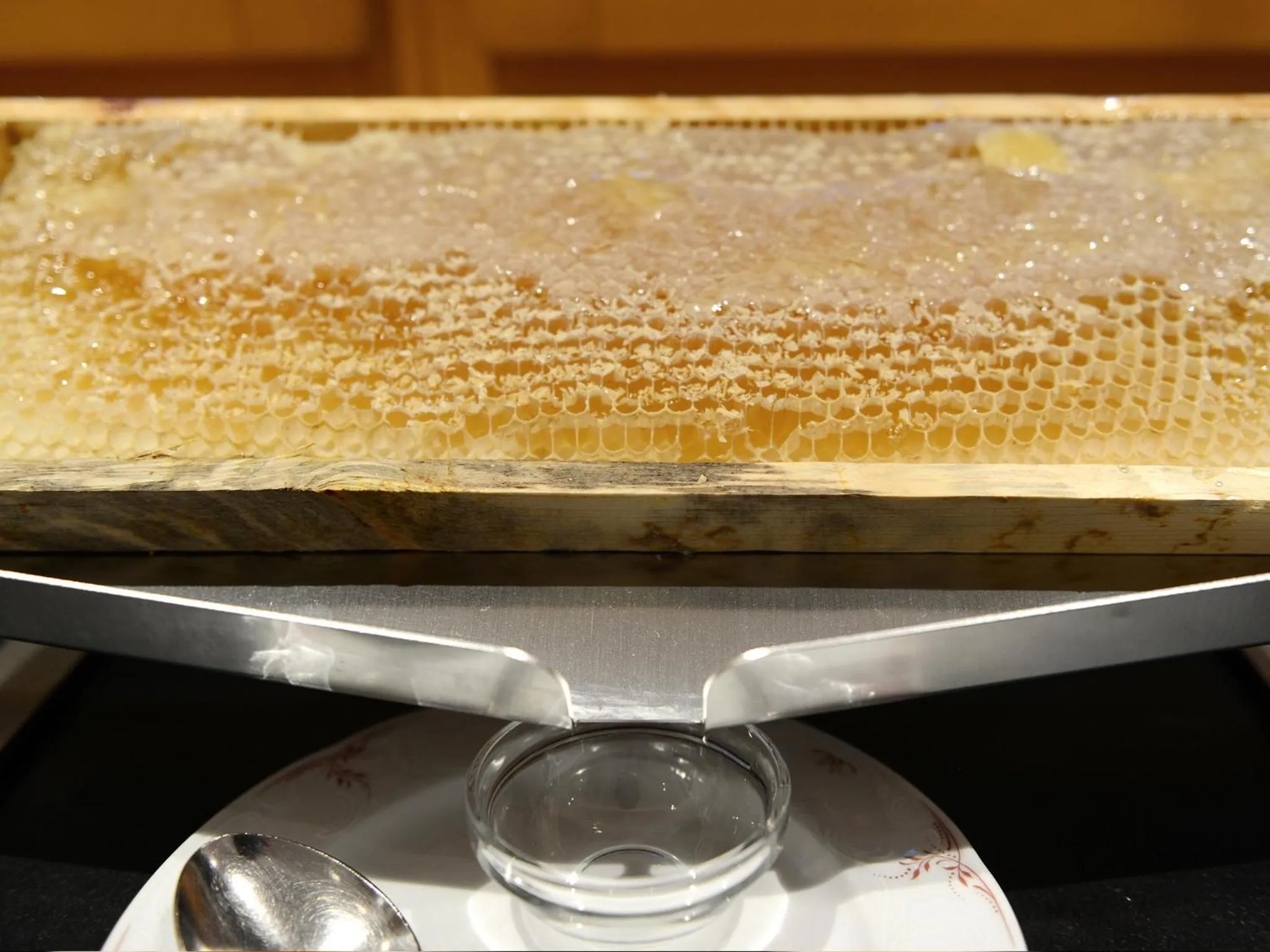 Buffet breakfast in Hotel Purvita by Oberlechner