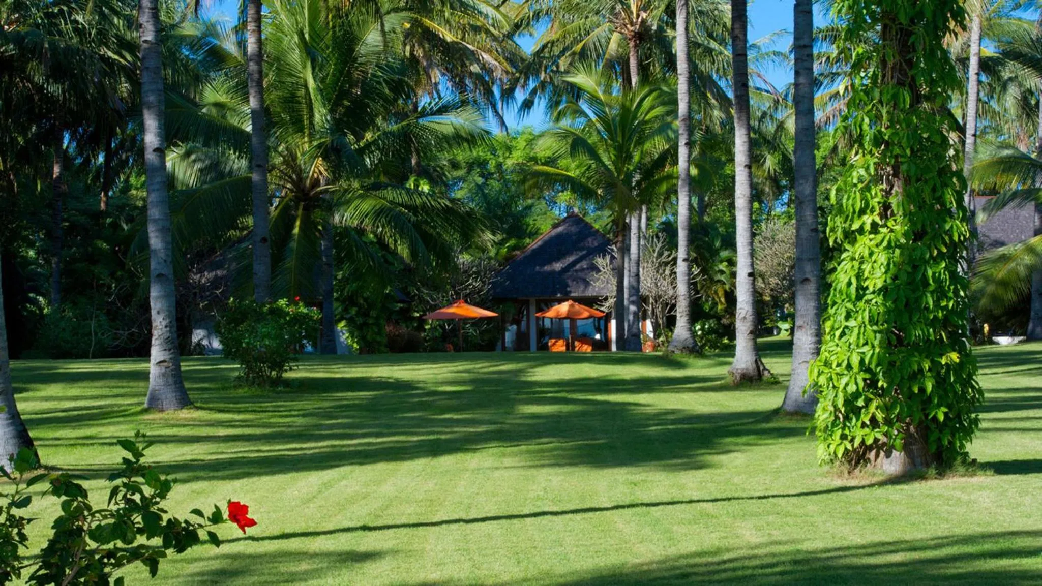 Natural landscape in The Anandita by Elite Havens