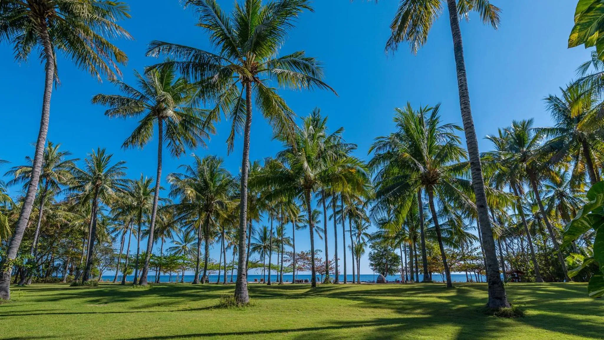 Natural landscape in The Anandita by Elite Havens