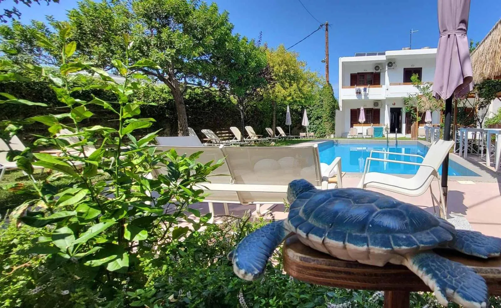 Garden in Tree of Life Art Hotel