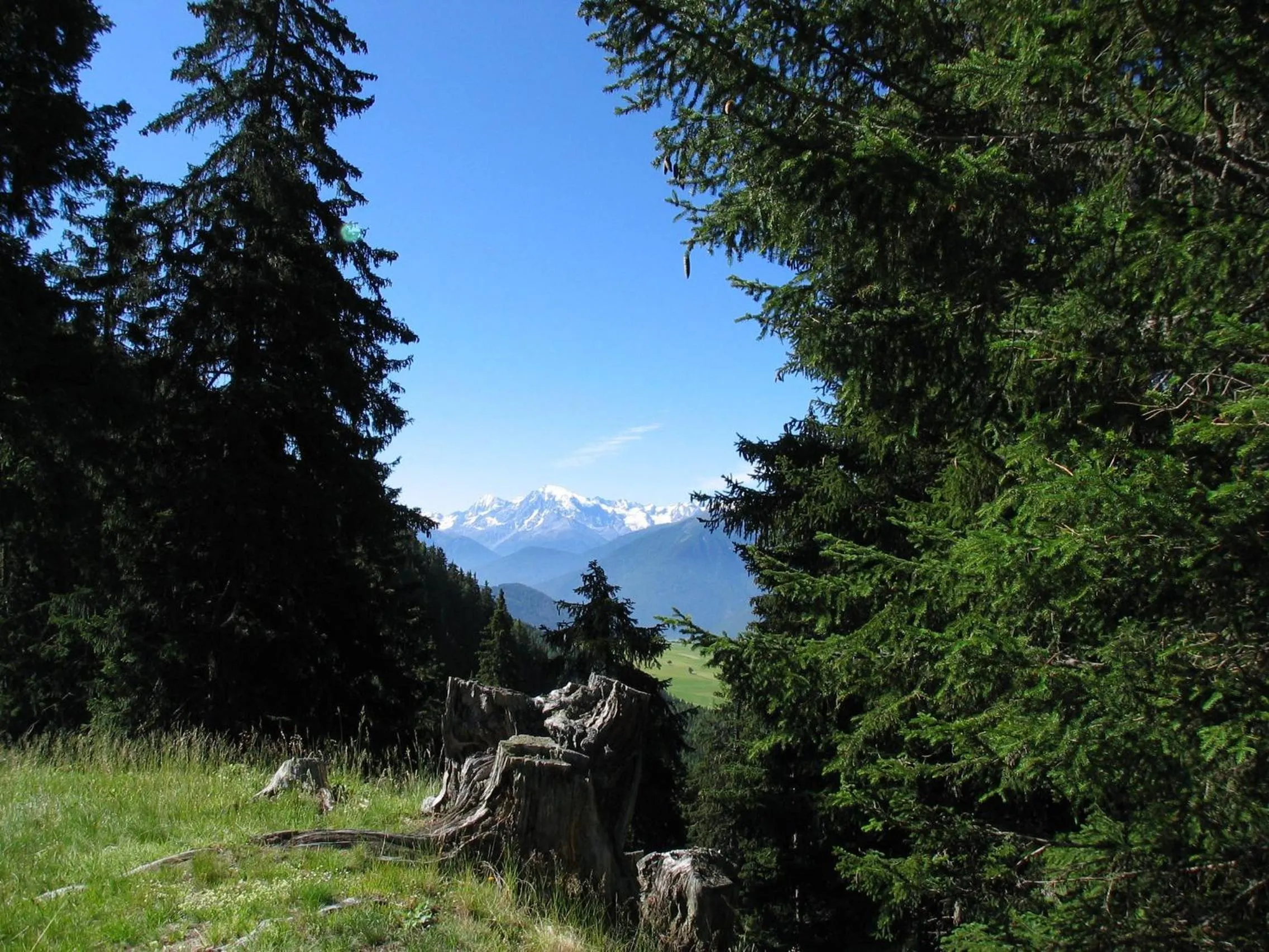 Appartement Sunnleitn