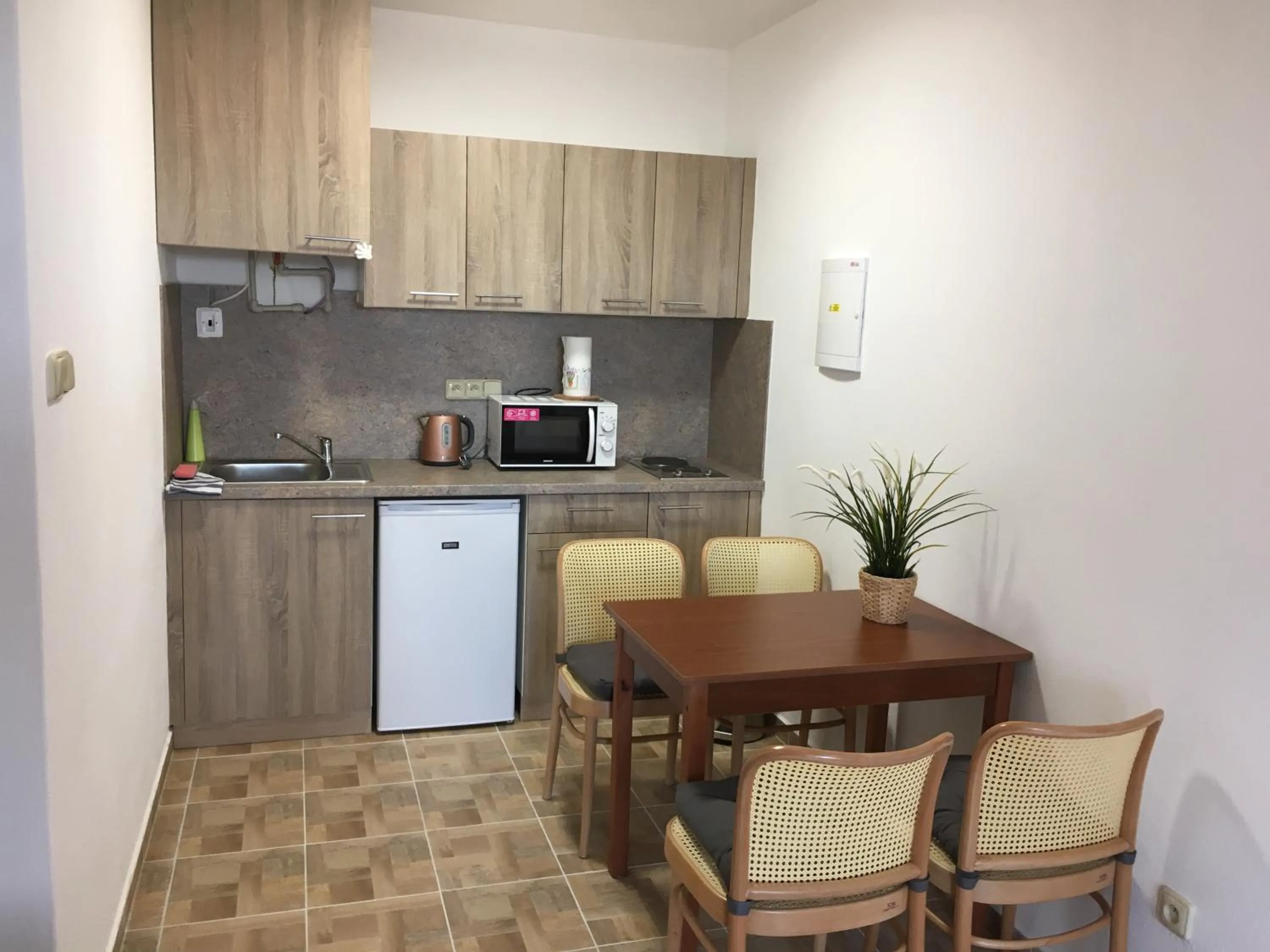 Kitchen or kitchenette in Apartmány s klimatizací - Penzion U Kudláčků Pouzdřany