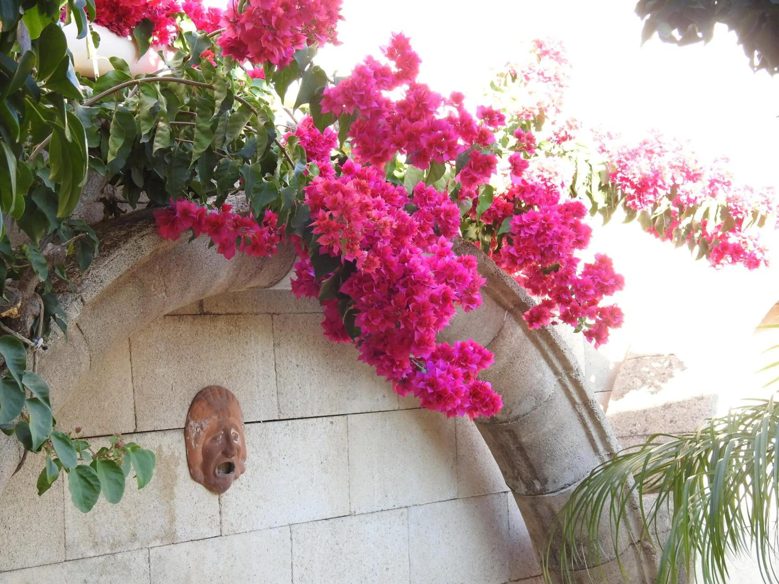 Garden view in Nikos Ikies