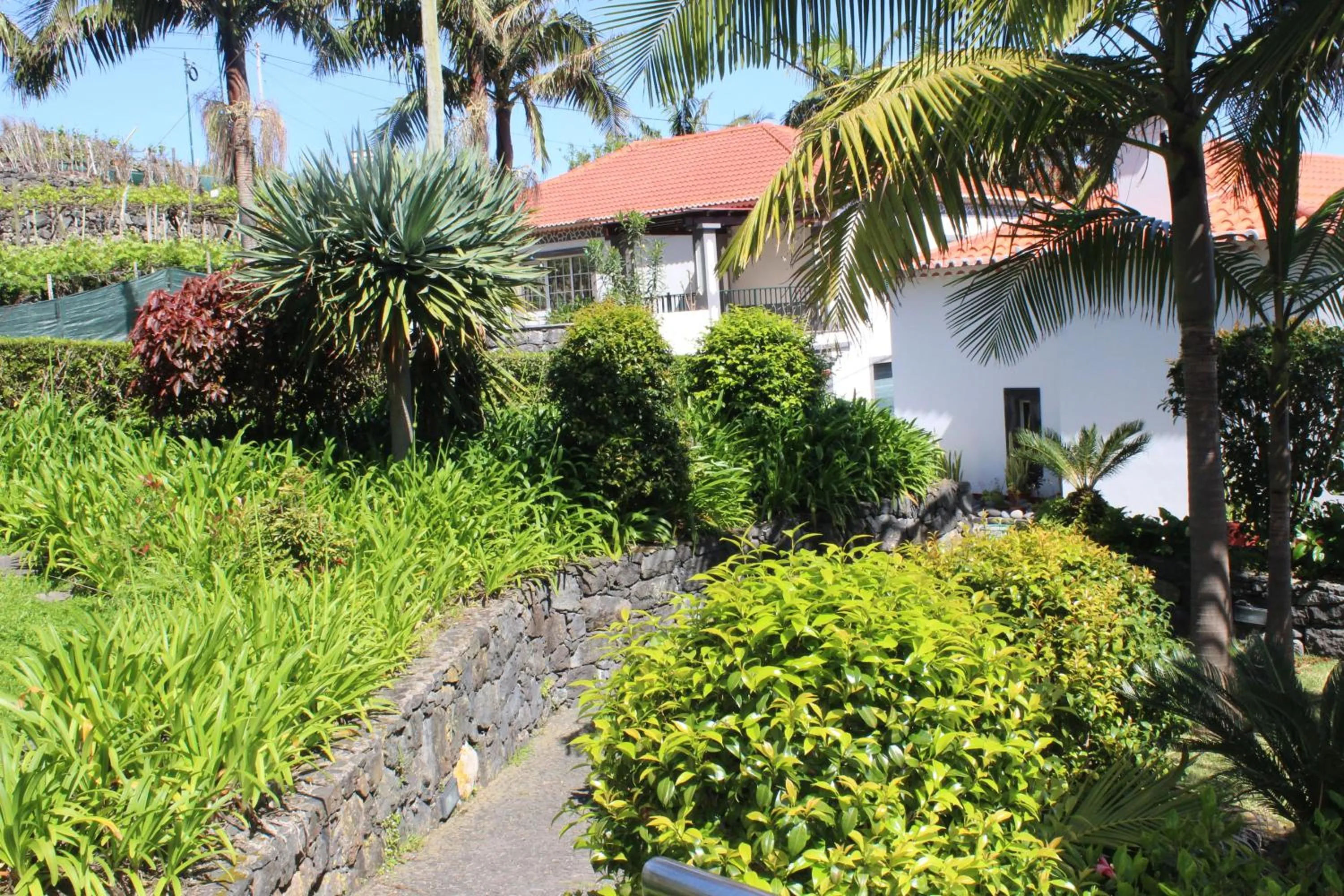 Garden in Casa da Capelinha