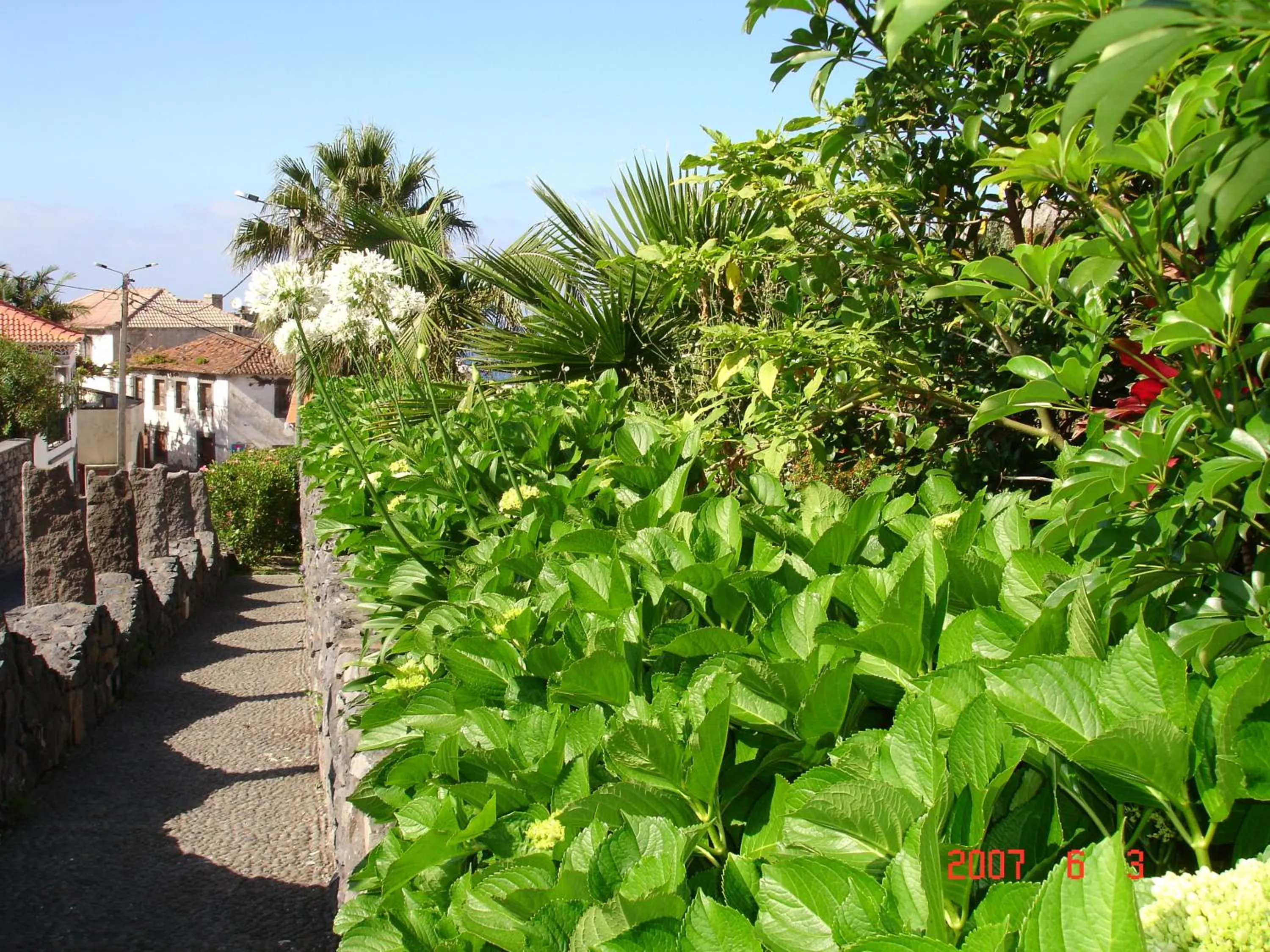 Garden in Casa da Capelinha