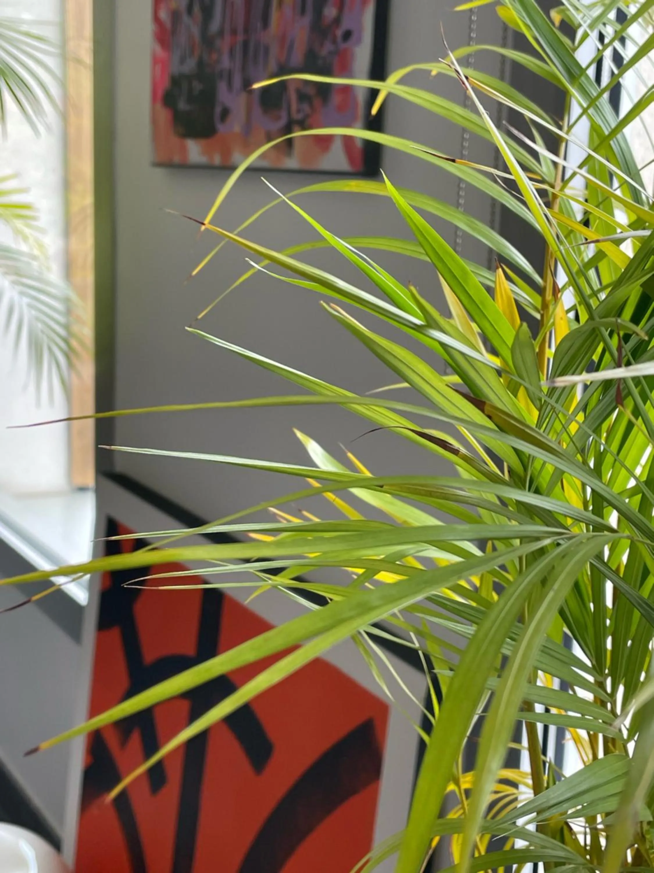 Property building in Hype Hôtel