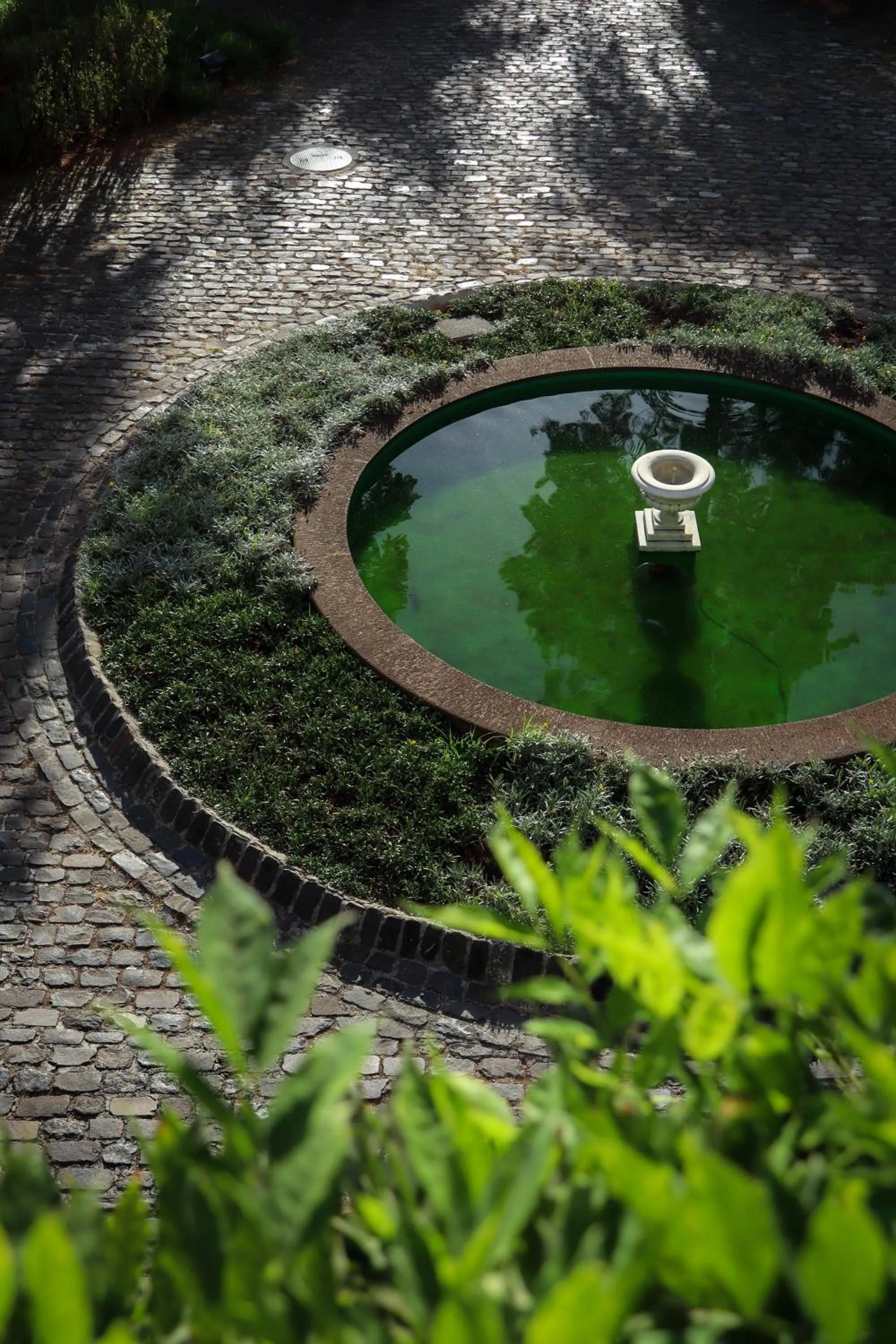 Facade/entrance in Quinta da Bela Vista