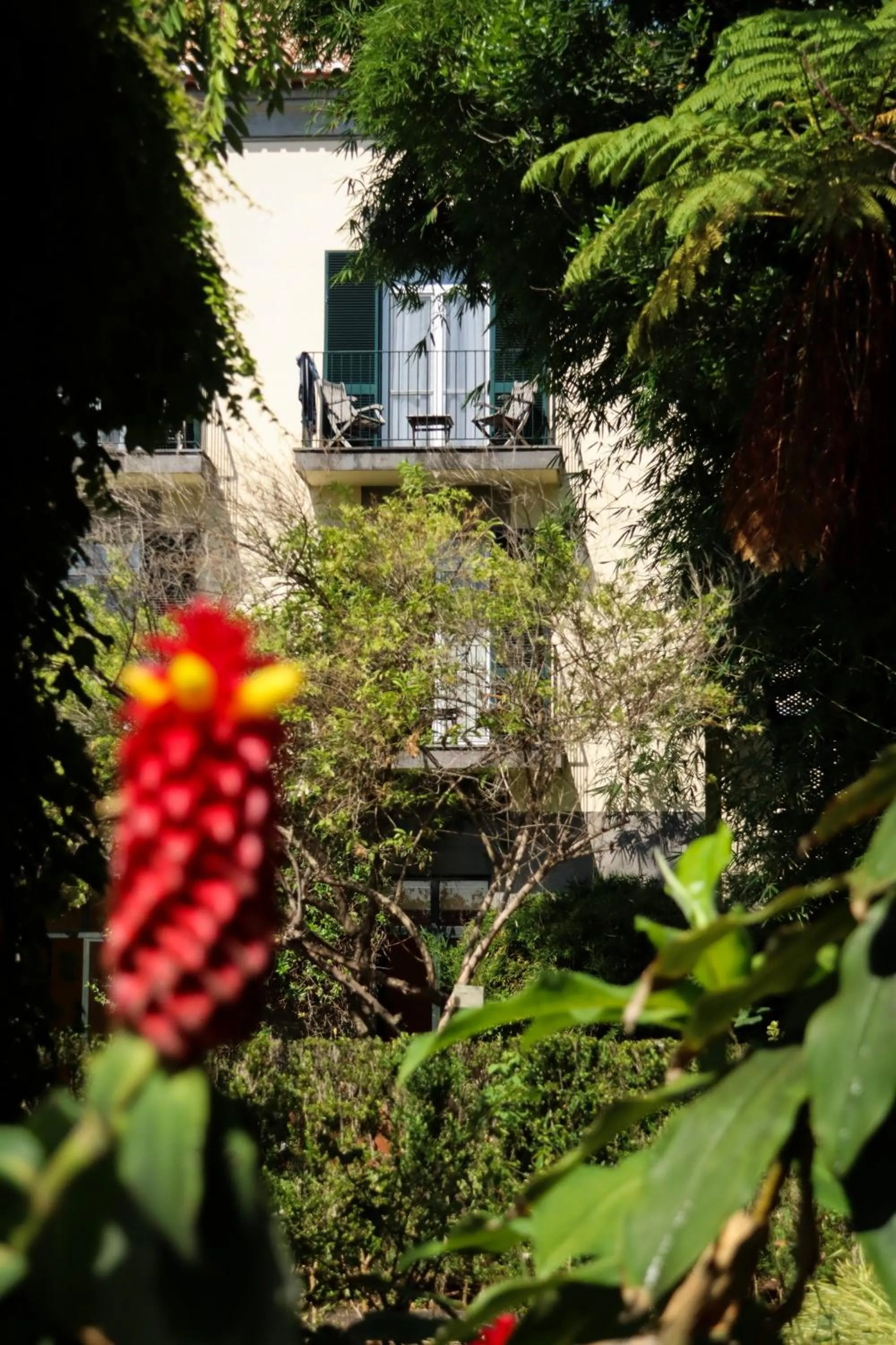 Garden in Quinta da Bela Vista