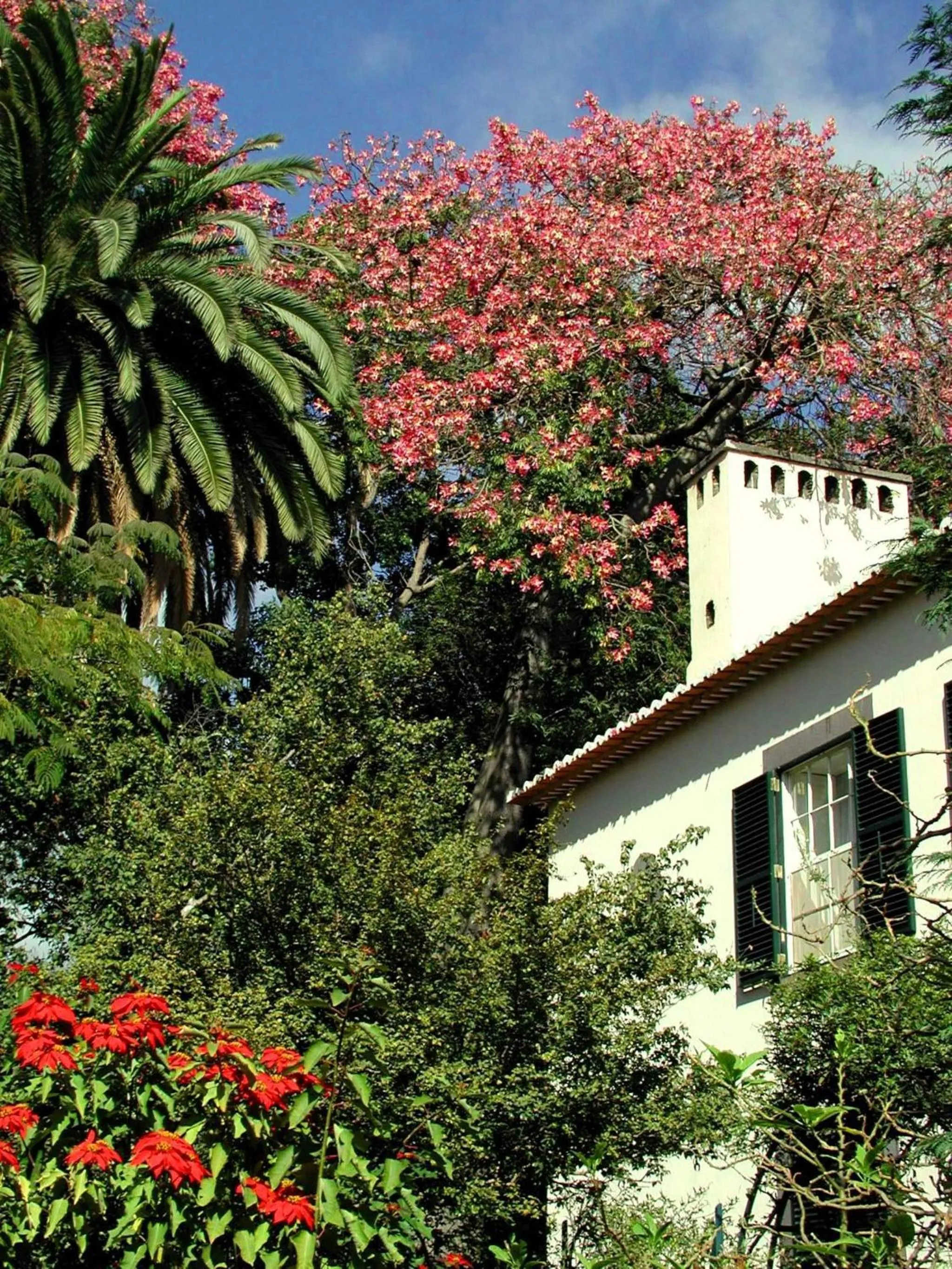 Facade/entrance in Quinta da Bela Vista