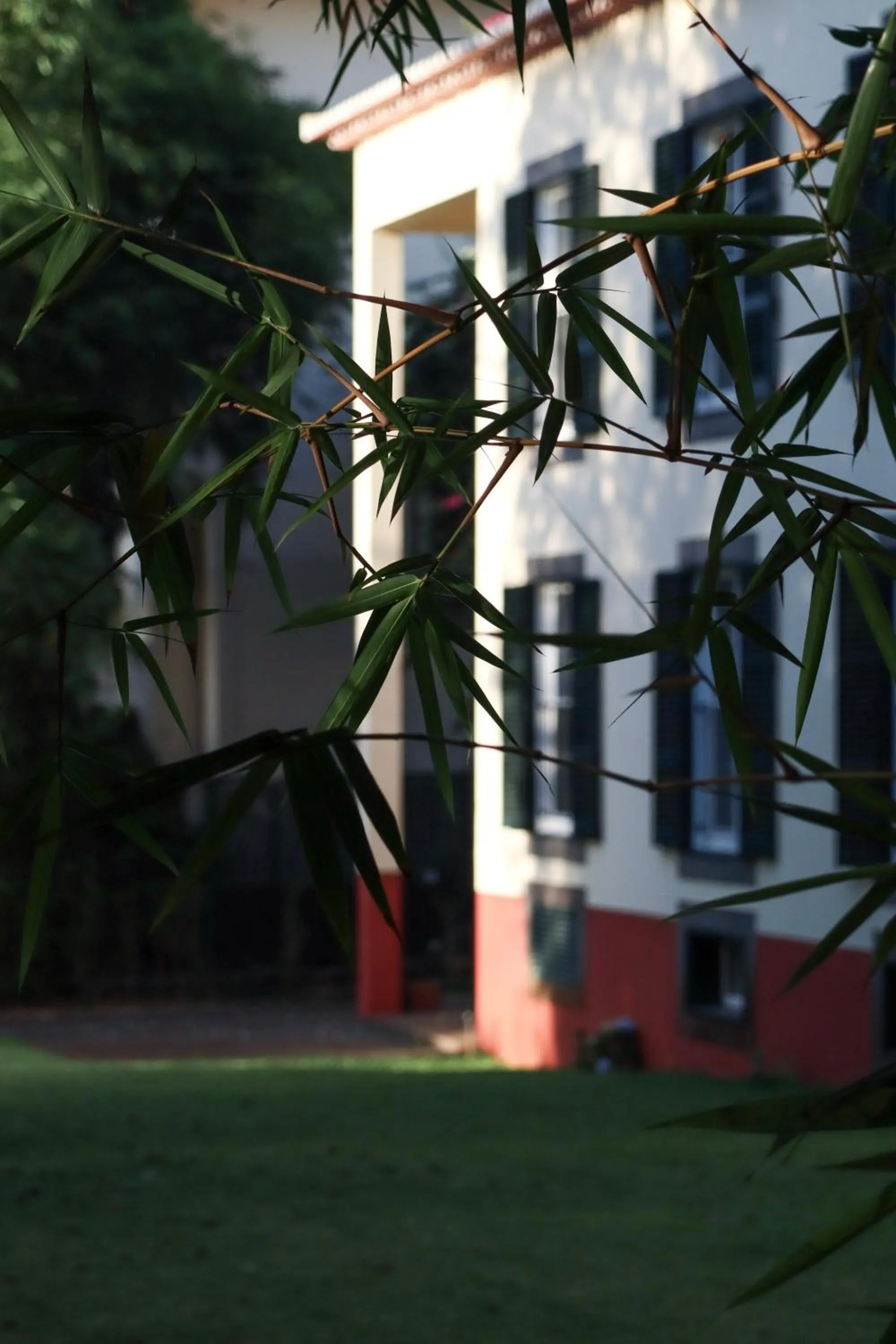 Property building in Quinta da Bela Vista