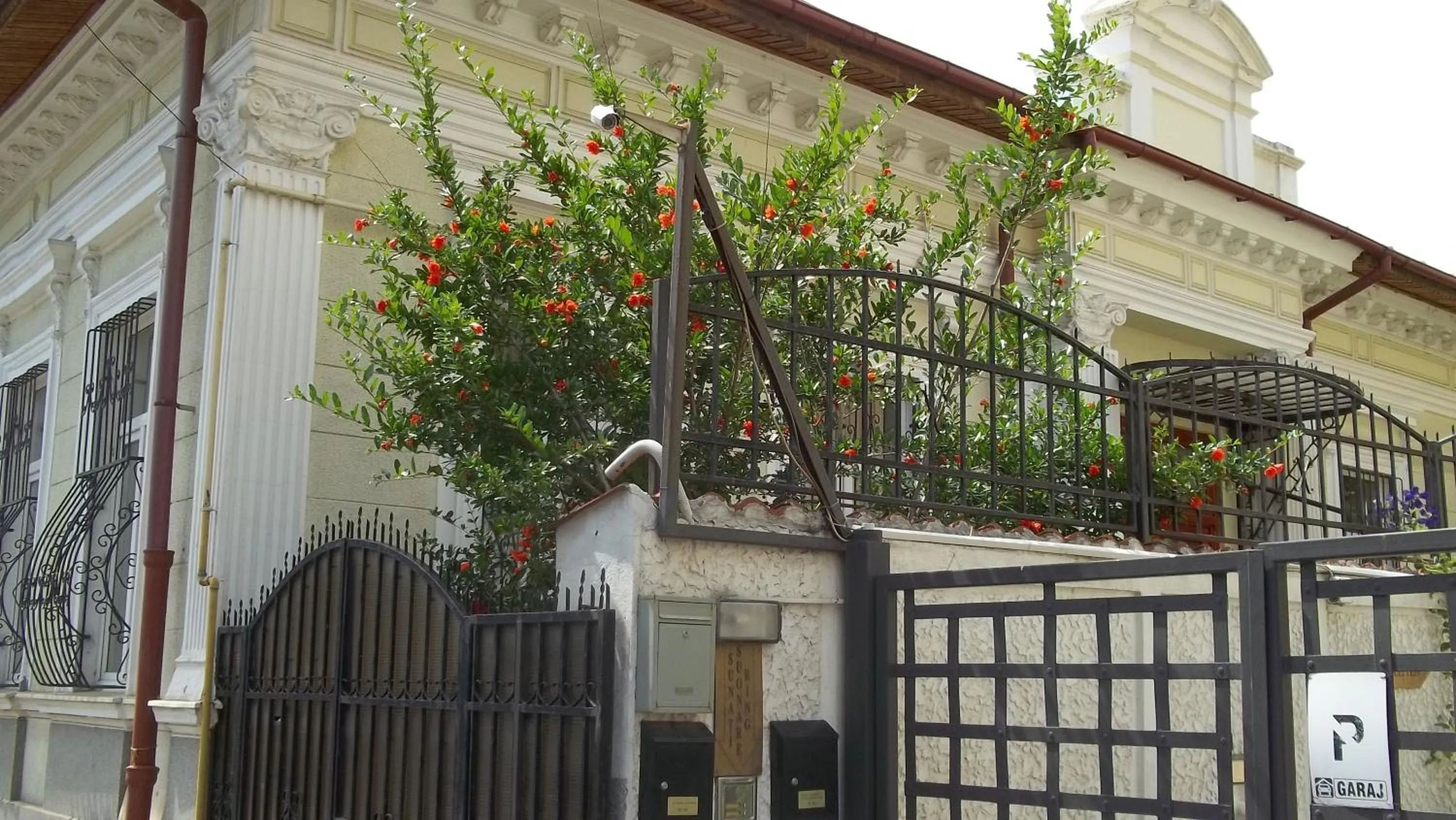 Street view in Prince Residence Apartments