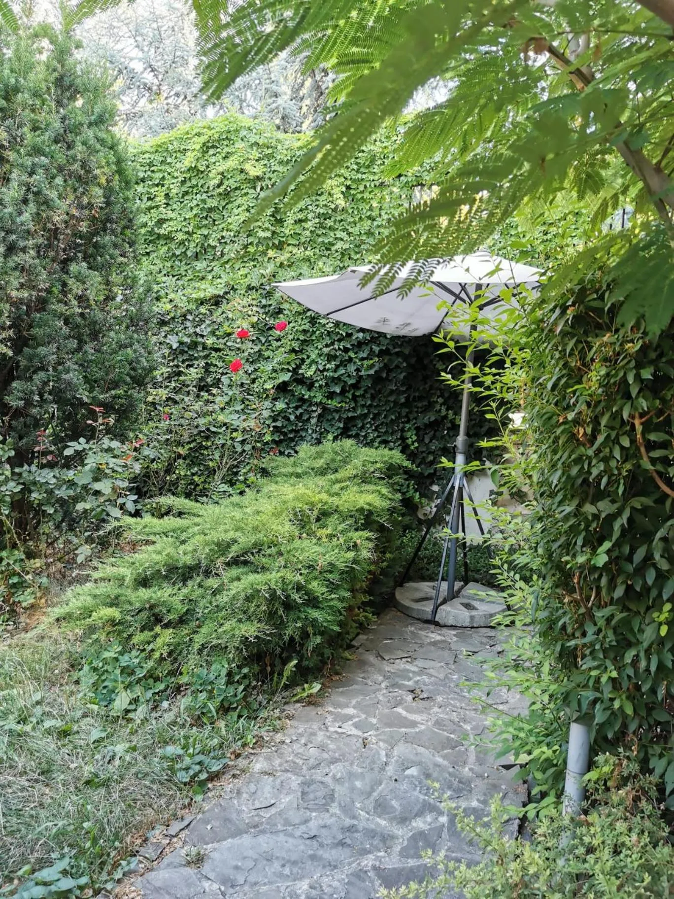 Garden in Prince Residence Apartments