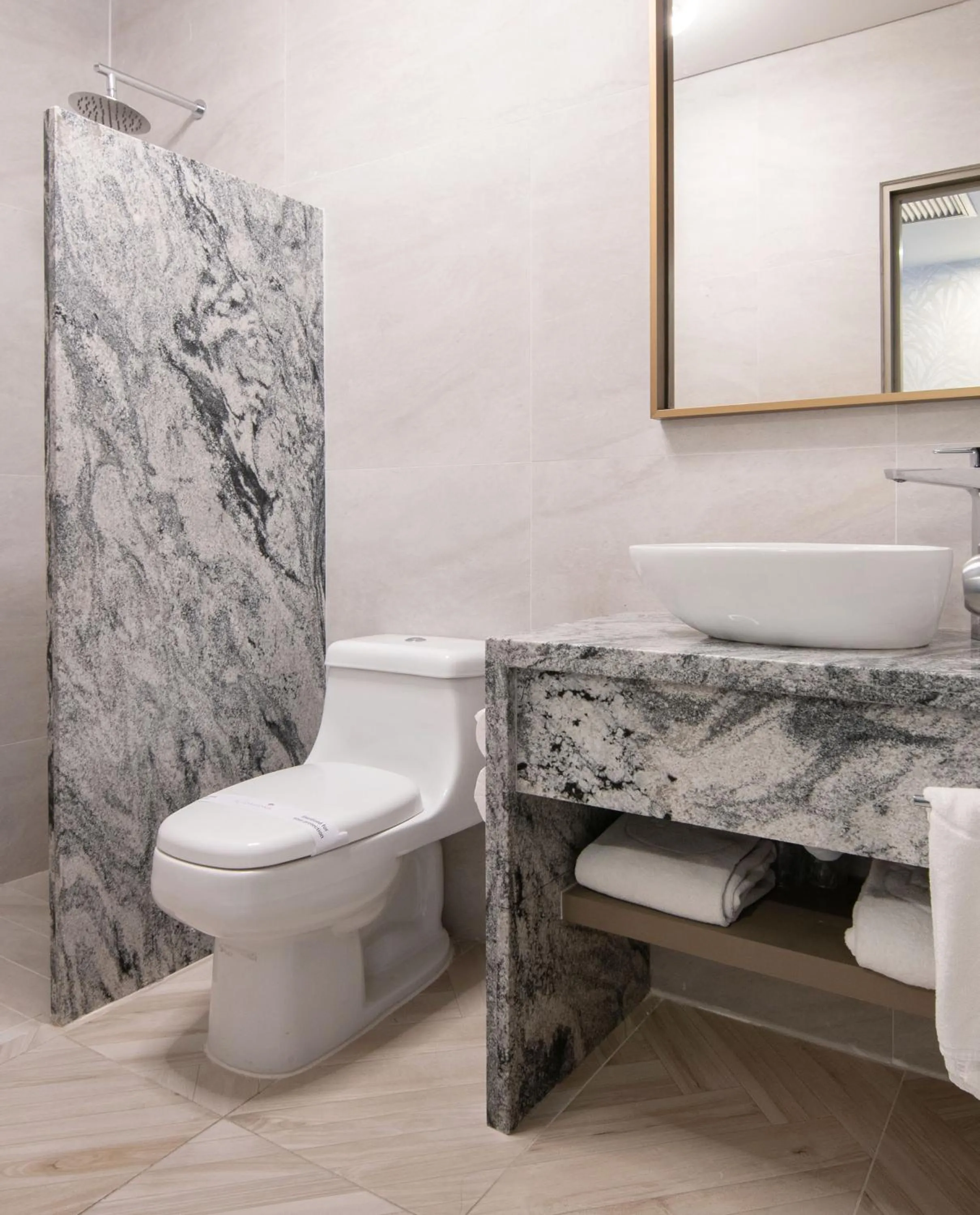 Shower in Hotel Plaza Diana