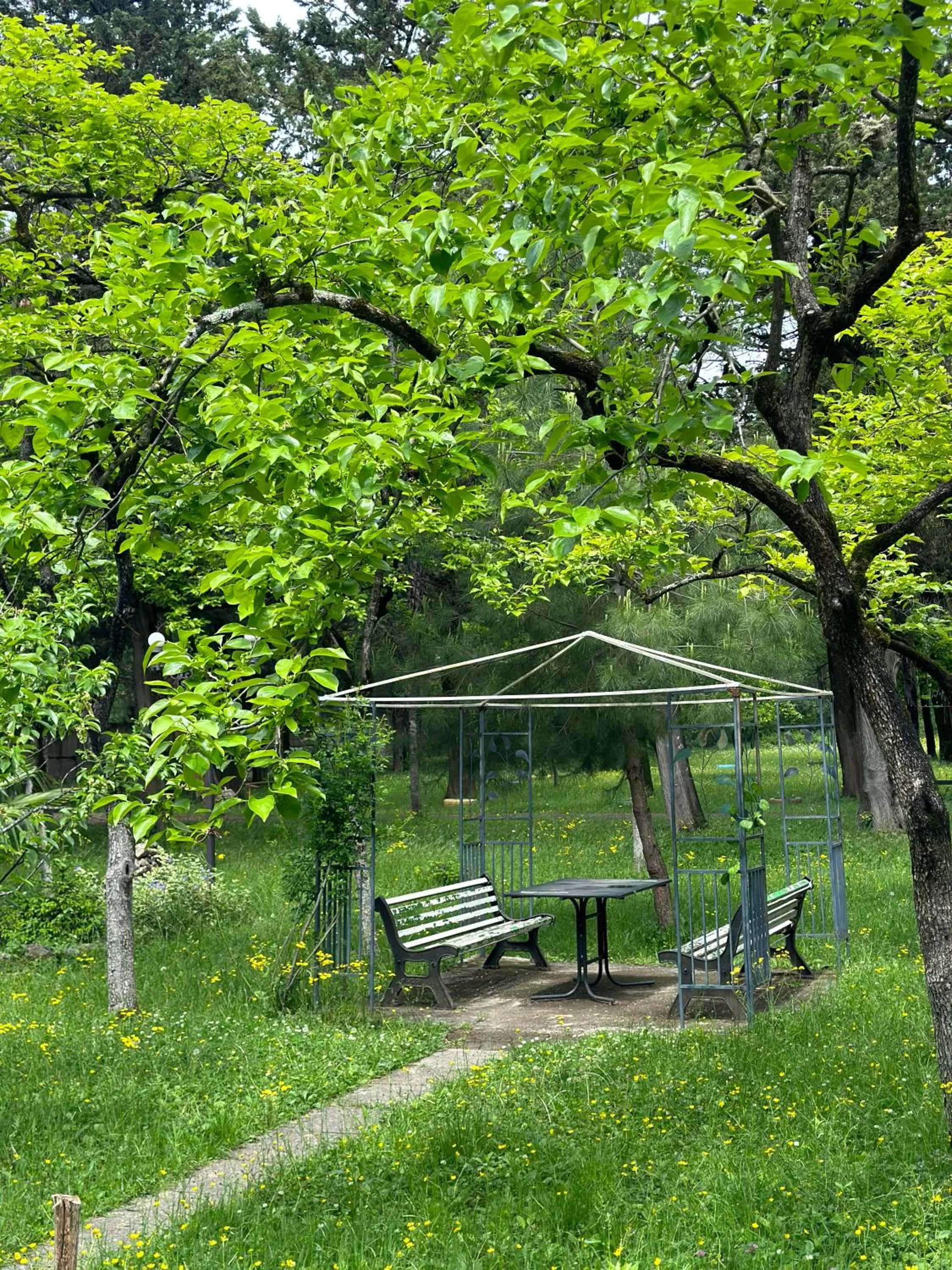 Spring in Park Hotel Imeri kutaisi