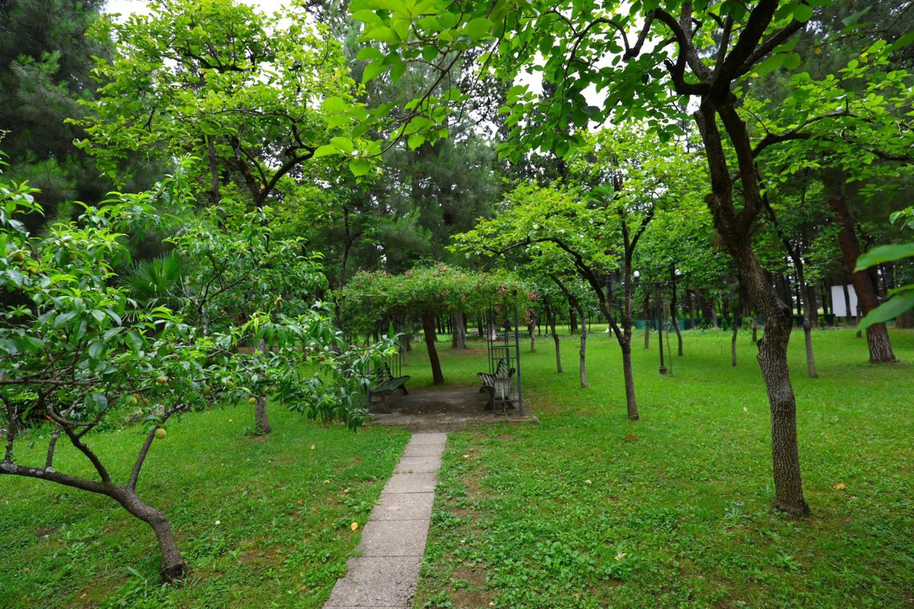 Spring in Park Hotel Imeri kutaisi