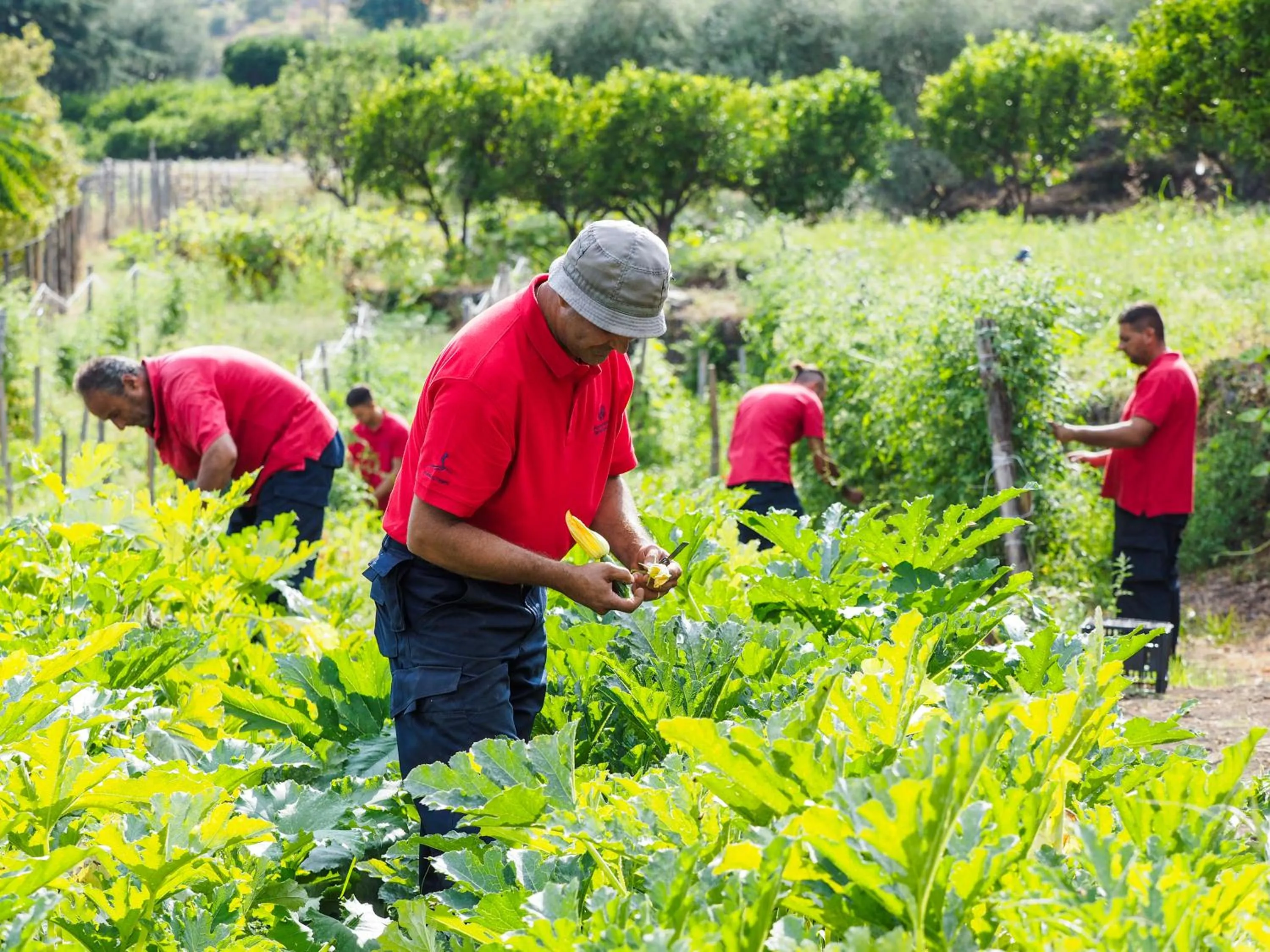 Staff in Monaci delle Terre Nere