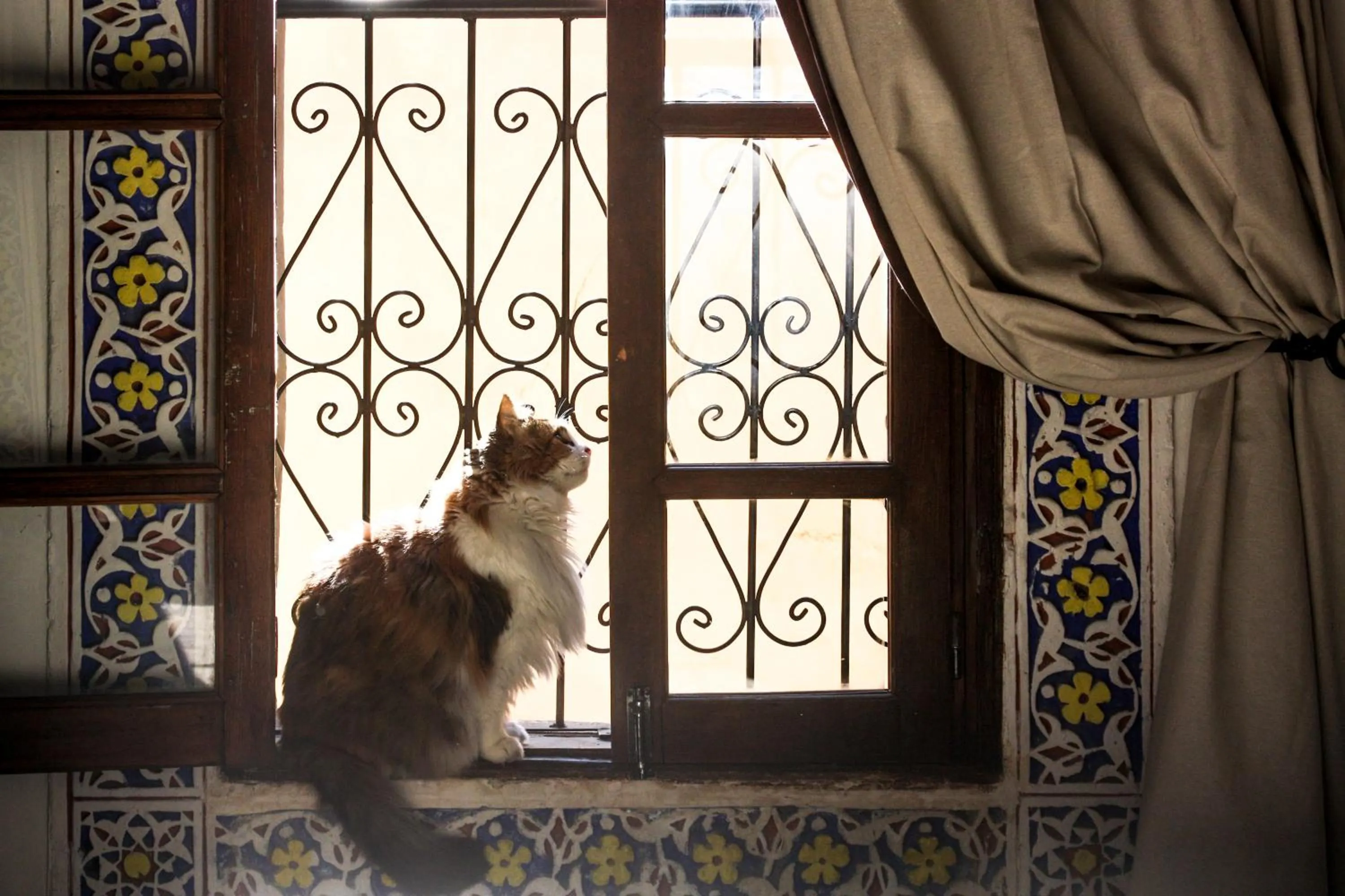 Property building in Dar El Bali