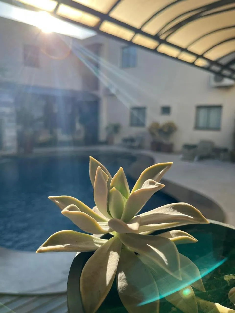 Swimming pool in Maximus Business by - Easy Hotéis