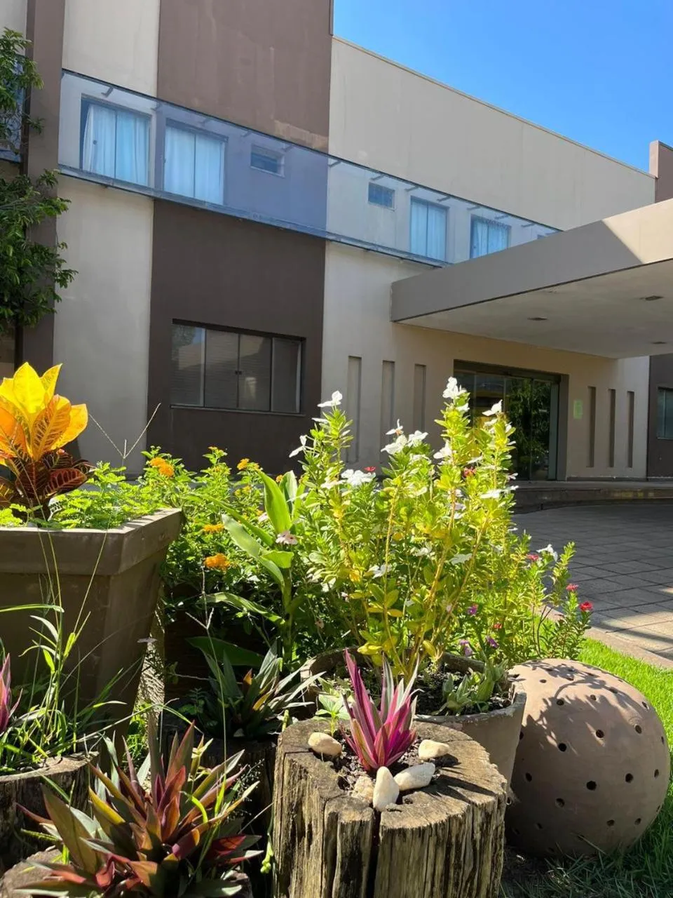 Maximus Business by - Easy Hotéis