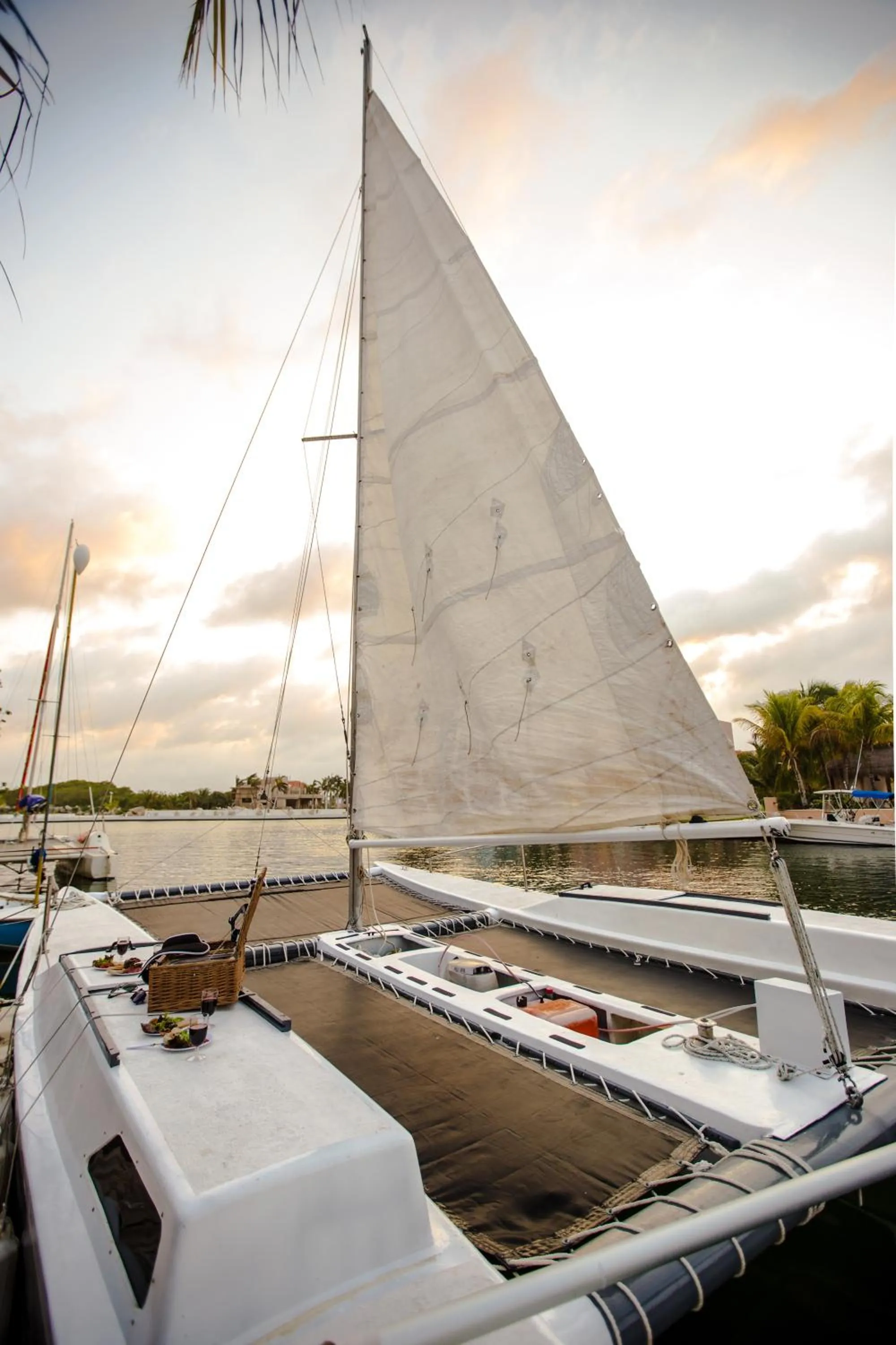 Other in Chez Waffle Hotel